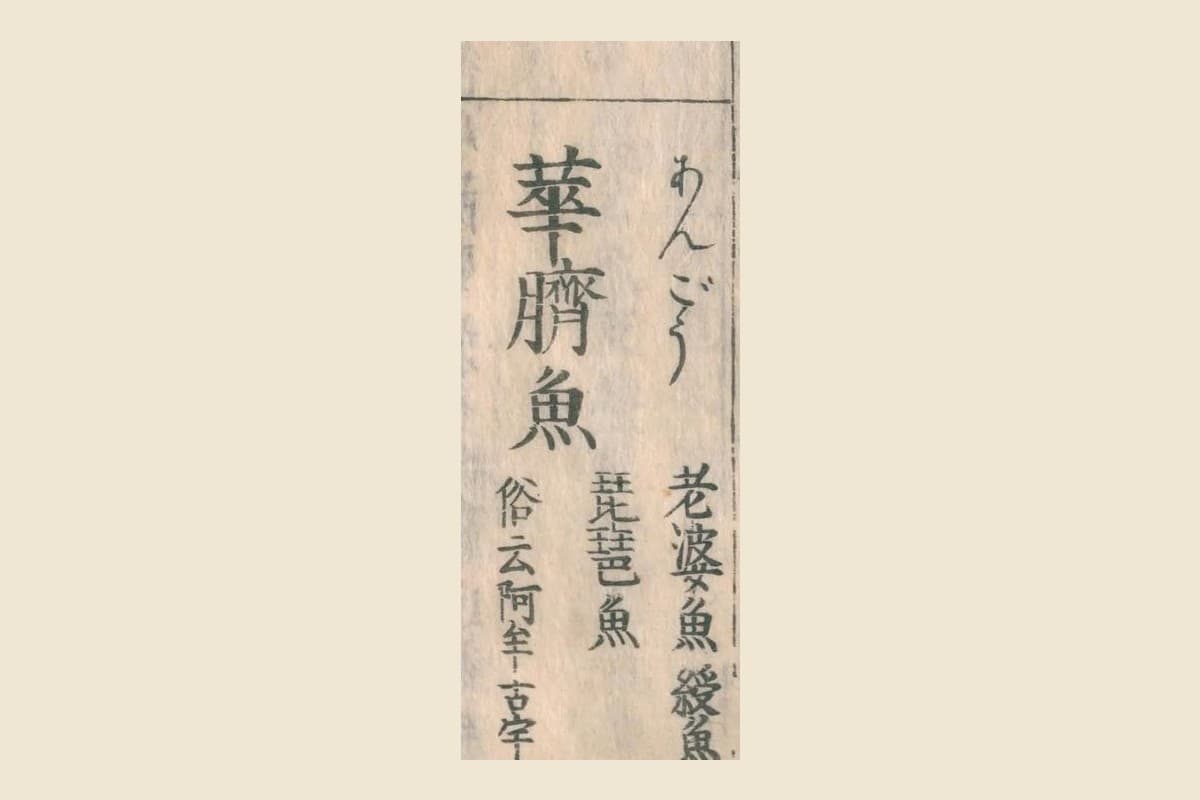 『和漢三才図会』の見出し「華臍魚（あんごう）」と脇の「老婆魚」「綬魚」「琵琶魚」「俗云阿牟古宇」の大写し