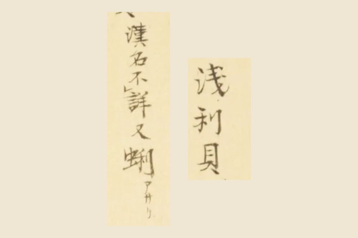 『梅園介譜』コマ40の書き入れ「浅利貝」「漢名不詳 又 蜊」の大写し