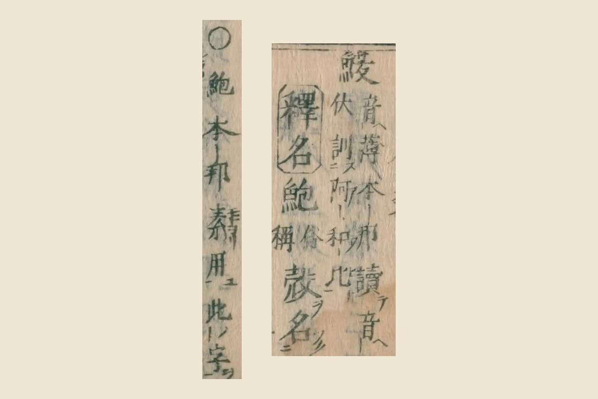 『本朝食鑑』コマ56の見出し「鰒」と「釋名 鮑 俗稱」、「○鮑本邦素用此字」の大写し