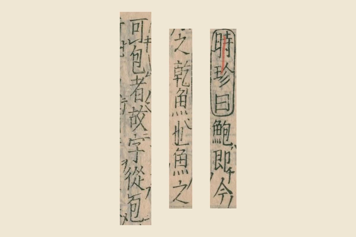 『本草綱目』コマ104の「時珍曰鮑即今」「之乾魚也魚之」「可包者故字從包」の大写し