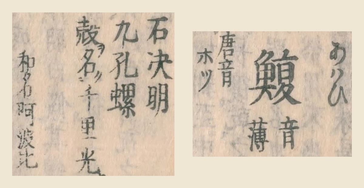 『和漢三才図会』コマ3の見出し「鰒」と振り仮名、「石決明」「九孔螺」「和名阿波比」の大写し