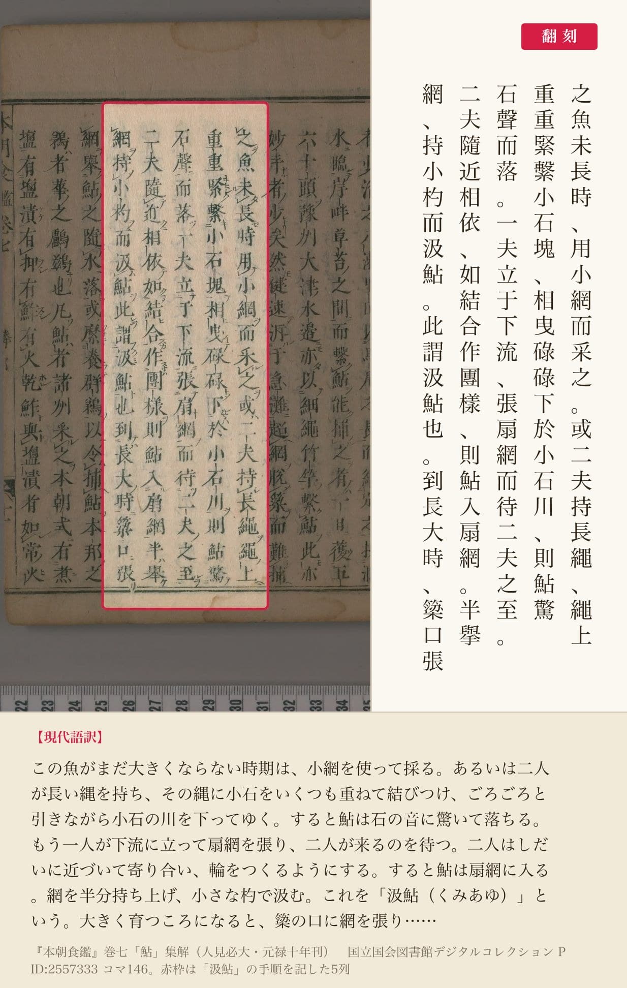 『本朝食鑑』巻七「鮎」集解の、「汲鮎」の手順を記した5列と翻刻