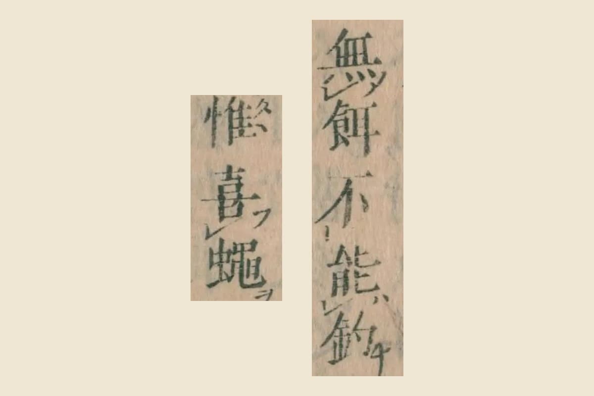 『本朝食鑑』巻七「鮎」集解の「無餌不能釣」「惟喜蠅」の大写し