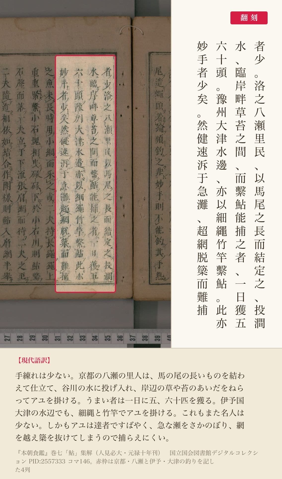『本朝食鑑』巻七「鮎」集解の、京都・八瀬と伊予・大津の釣りを記した4列と翻刻