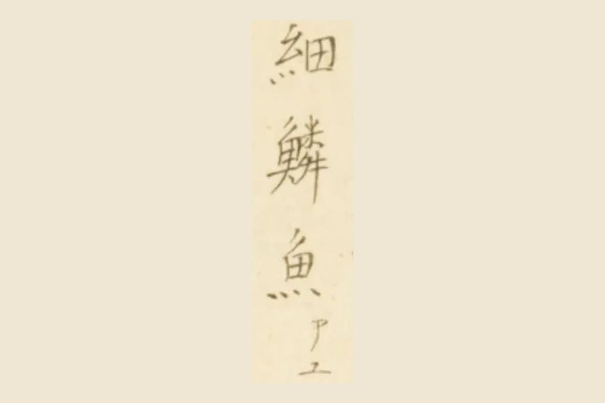 『梅園魚品図正』巻一 コマ29の見出し「細鱗魚」の大写し