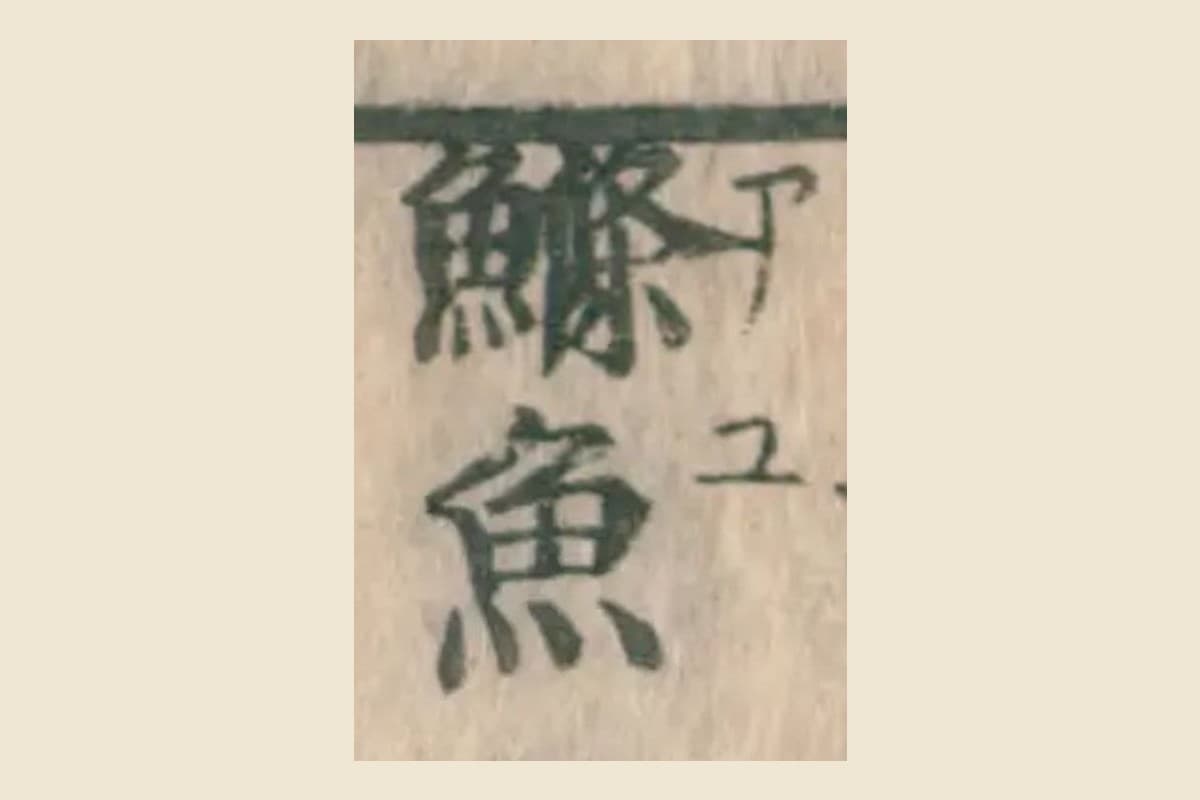 『大和本草』巻十三 コマ6の見出し「鰷魚」と振り仮名「アユ」の大写し