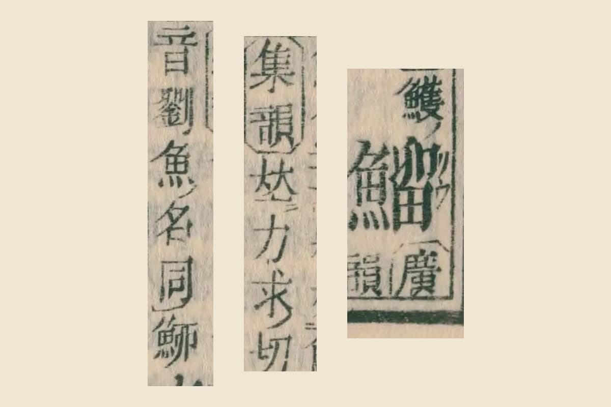 『康熙字典』コマ27の見出し「鰡」と、説明「力求切」「音劉 魚名」の大写し