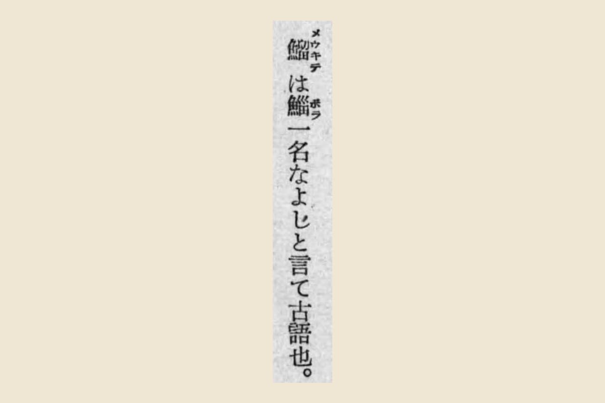 『狂言不審紙』コマ21の「鰡は鯔一名なよしと言て古語也」の大写し。鰡に「メウキテ」、鯔に「ボラ」の振り仮名