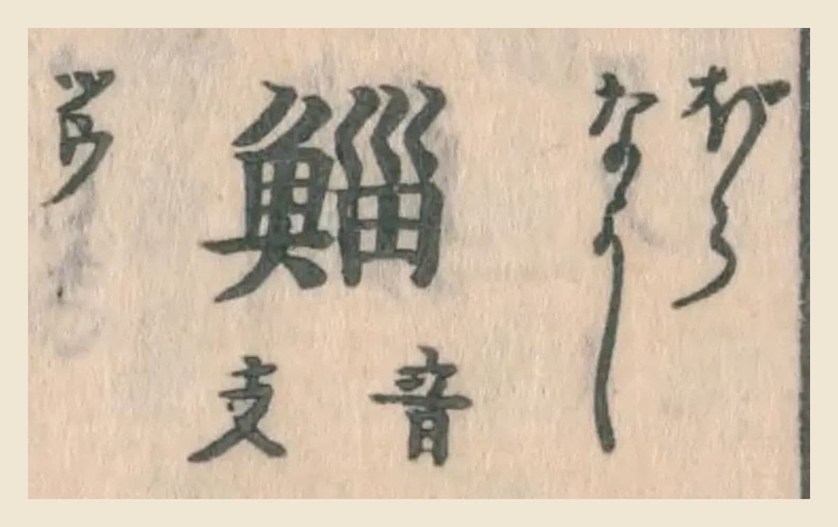 『和漢三才図会』コマ30の見出し「鯔」と振り仮名、「音支」の大写し