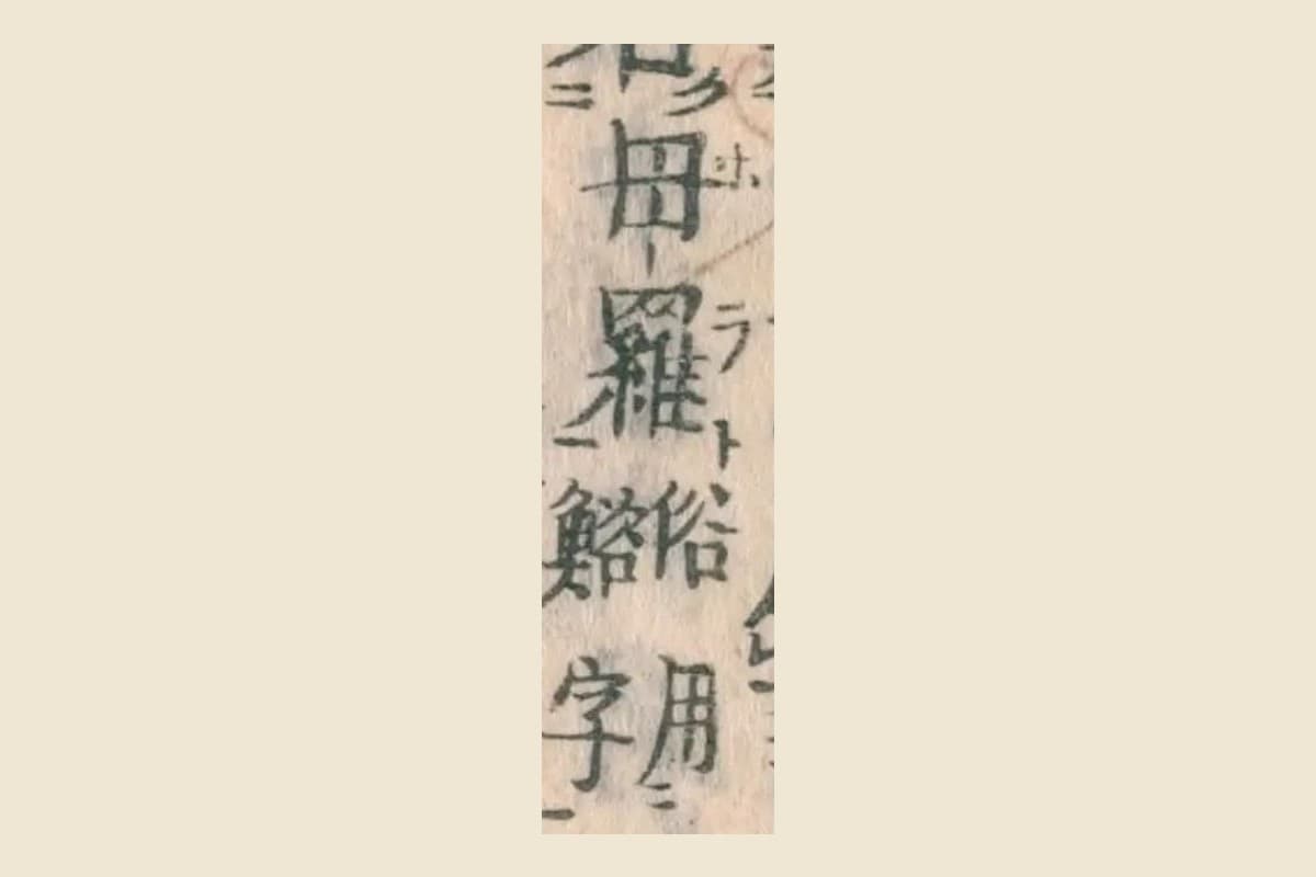 『和漢三才図会』コマ31の「名母羅」と割注「俗用鮥字」の大写し