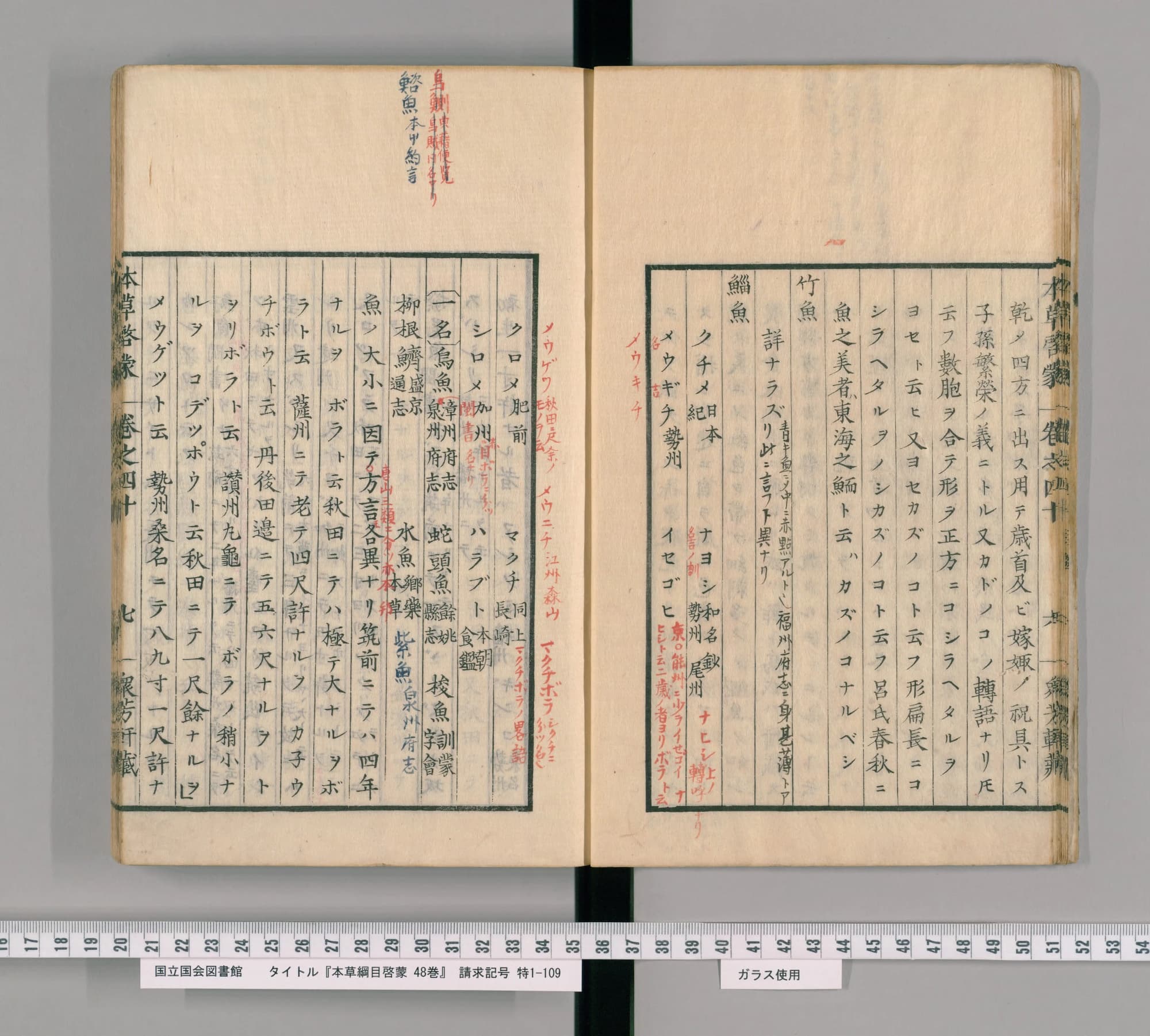 『本草綱目啓蒙』巻四十の見開き。右ページの後半に見出し「鯔魚」、左ページに呼び名と方言の列が続く。朱の書き入れがある