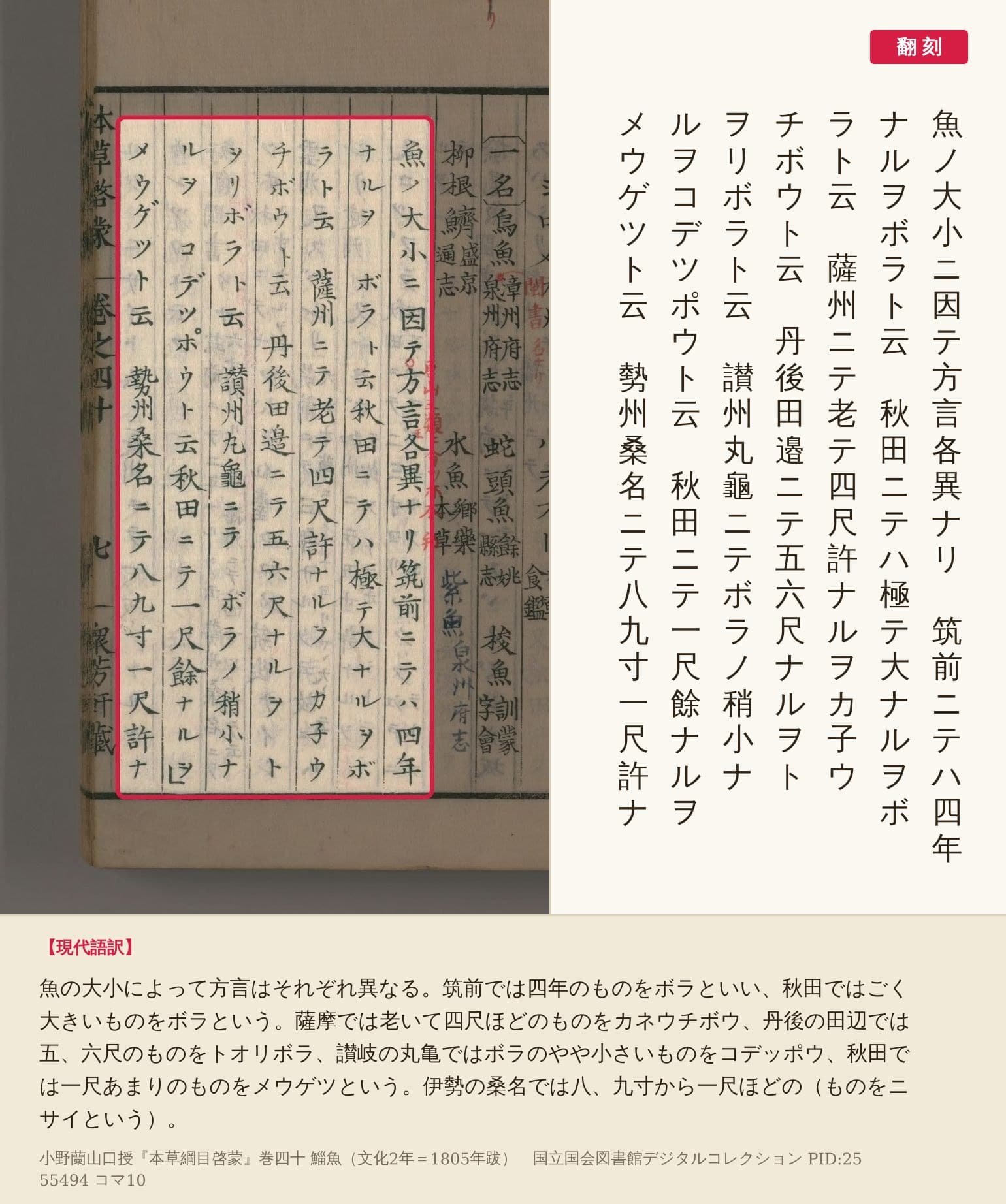 『本草綱目啓蒙』コマ10の「魚ノ大小ニ因テ方言各異ナリ」からの7列の赤枠と翻刻