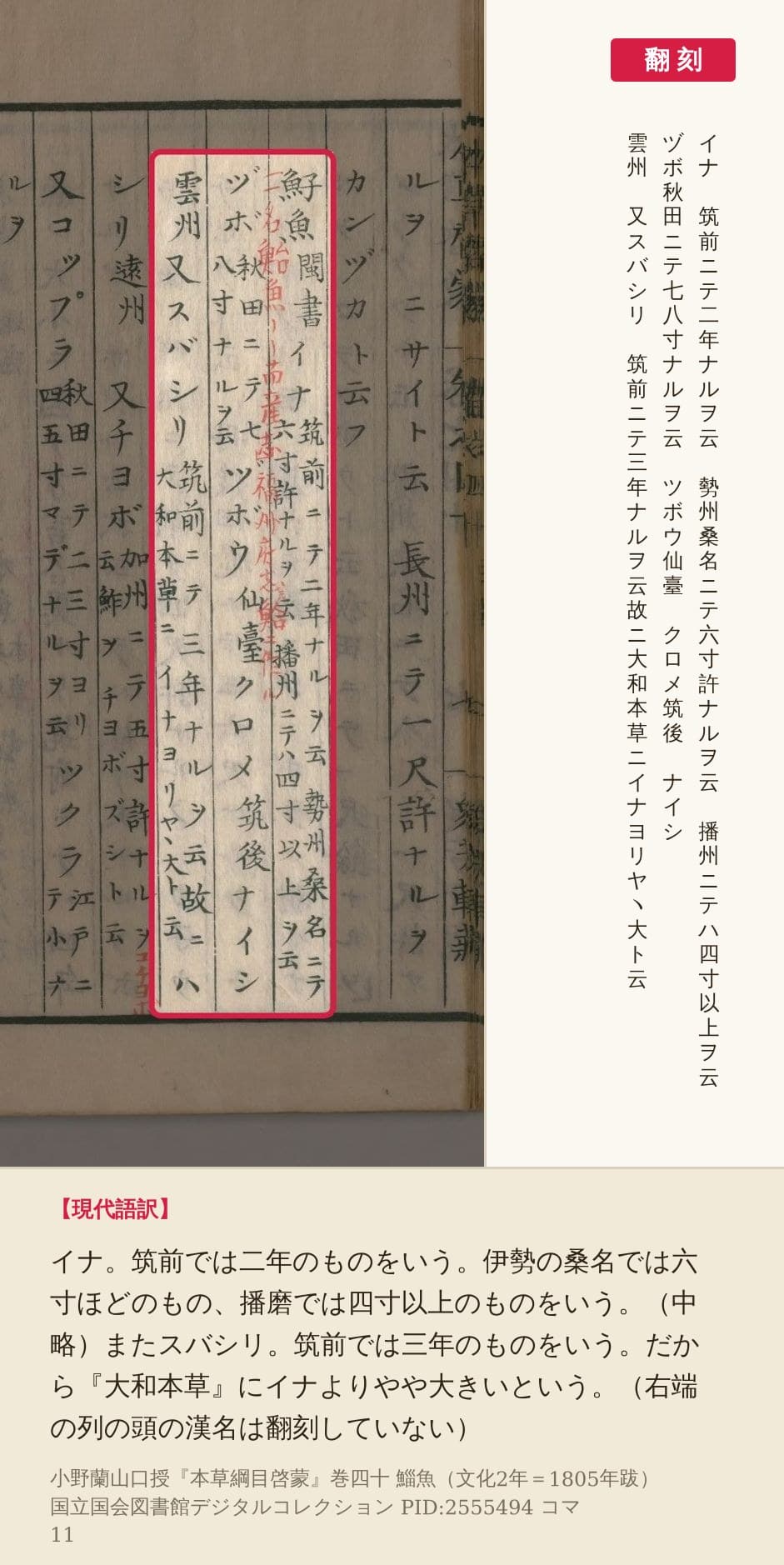 『本草綱目啓蒙』コマ11の右ページ、イナとスバシリの説明を含む3列の赤枠と翻刻