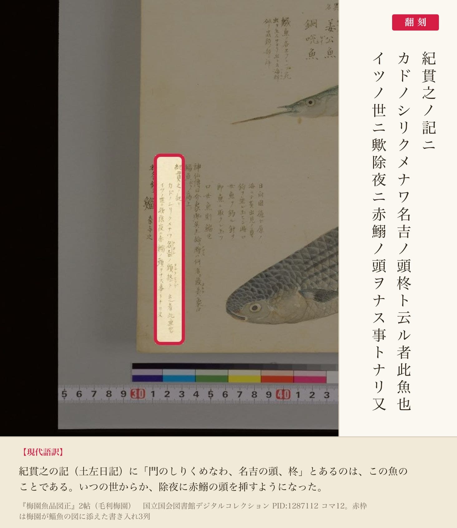 『梅園魚品図正』の鯔魚の図に添えられた梅園の書き入れ3列と翻刻