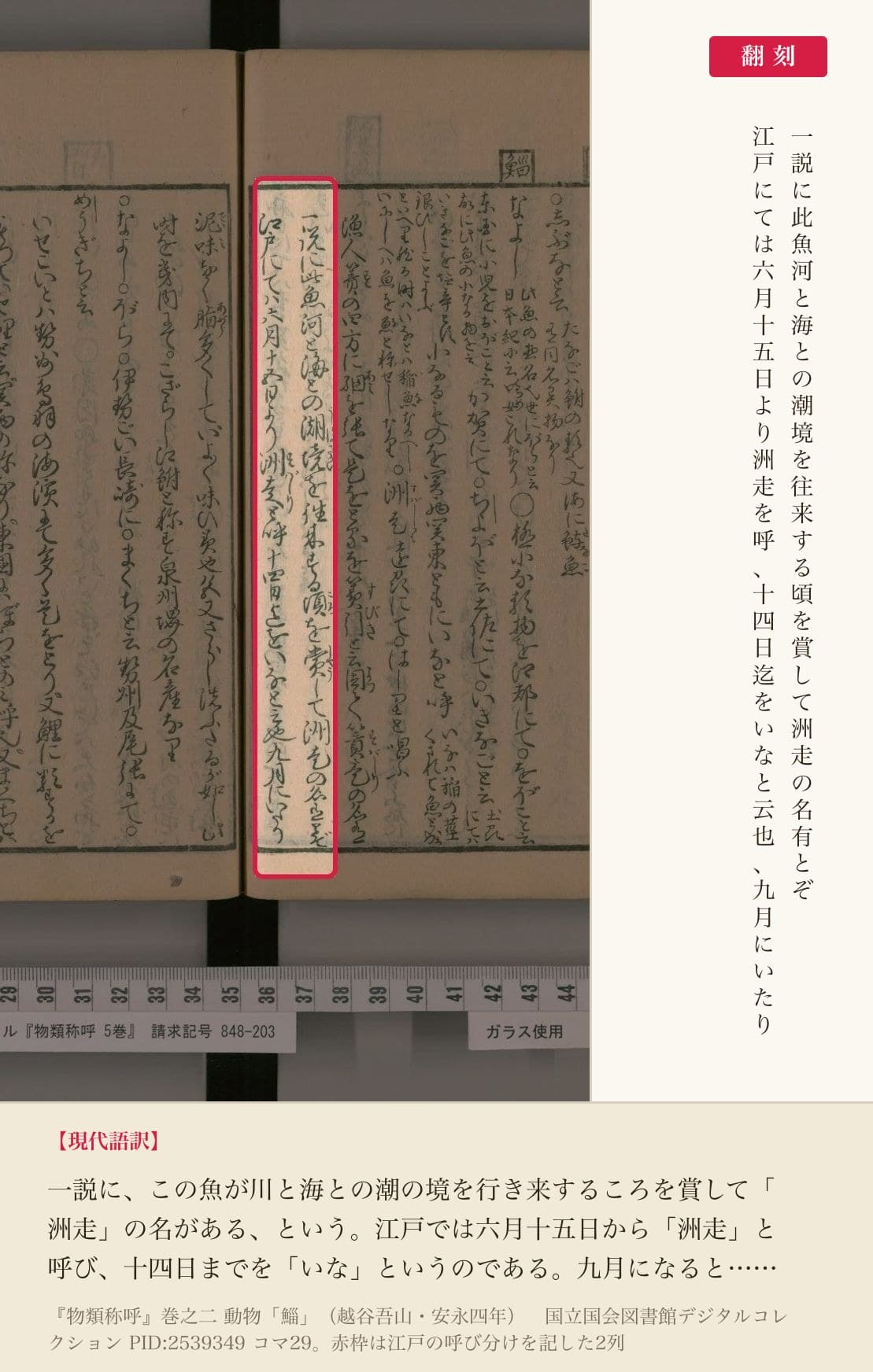 『物類称呼』巻之二「鯔」の、江戸の呼び分けを記した2列と翻刻