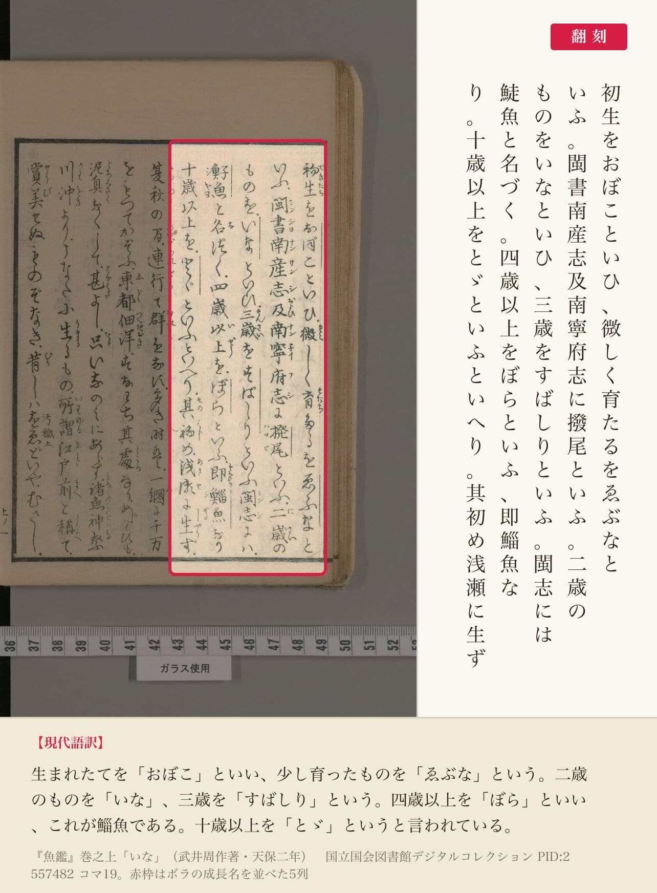 『魚鑑』巻之上「いな」の、ボラの成長名を並べた5列と翻刻