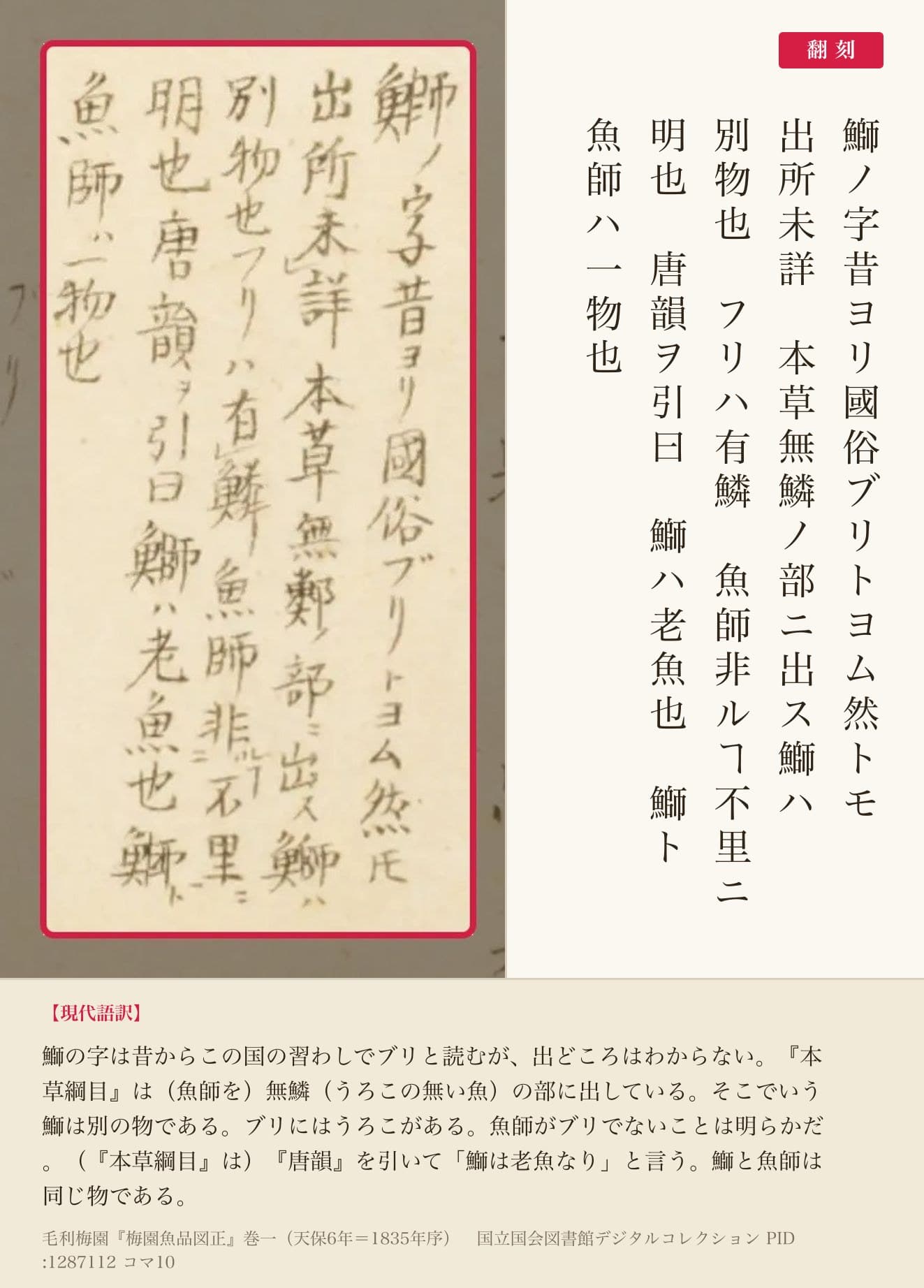 『梅園魚品図正』巻一コマ10のブリの絵のわきの書き入れ5列と翻刻