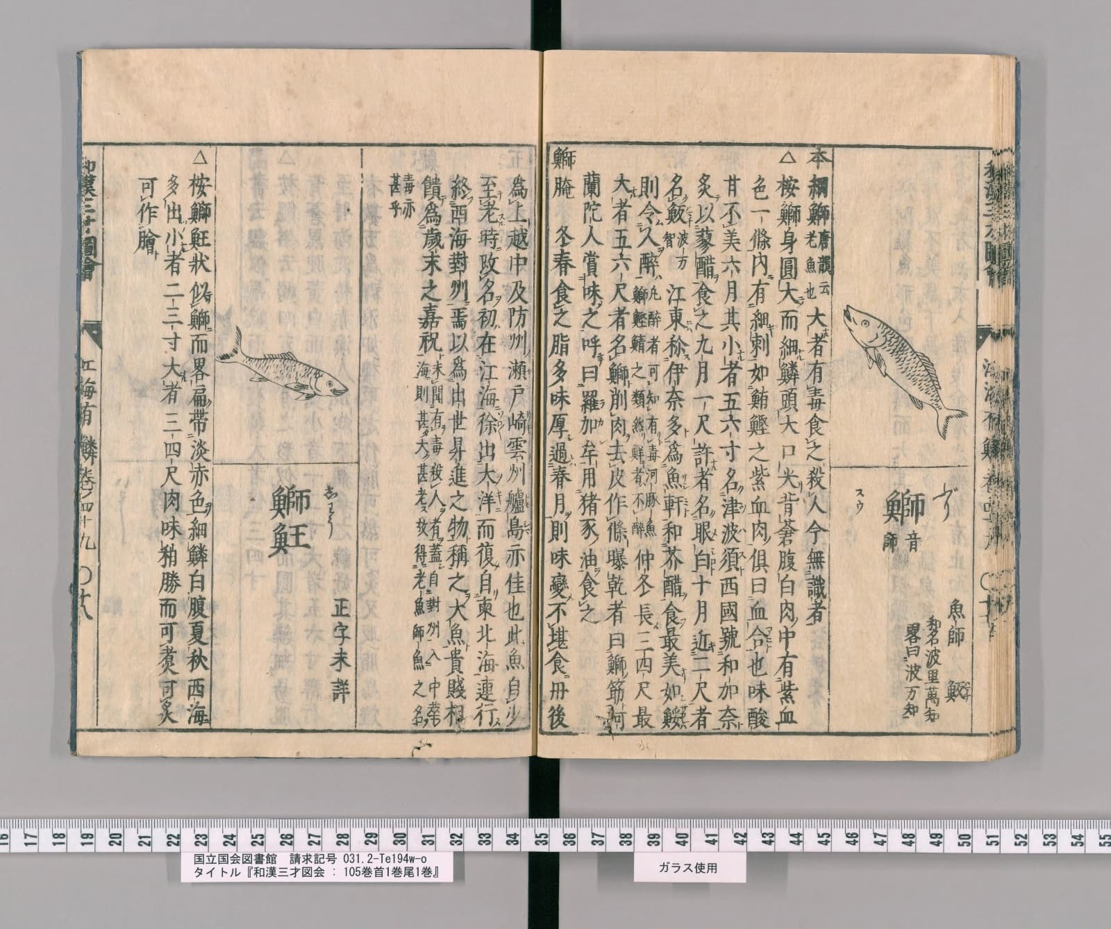 『和漢三才図会』巻四十九コマ35の見開き。右ページ上にブリの絵、その下に見出し「鰤」