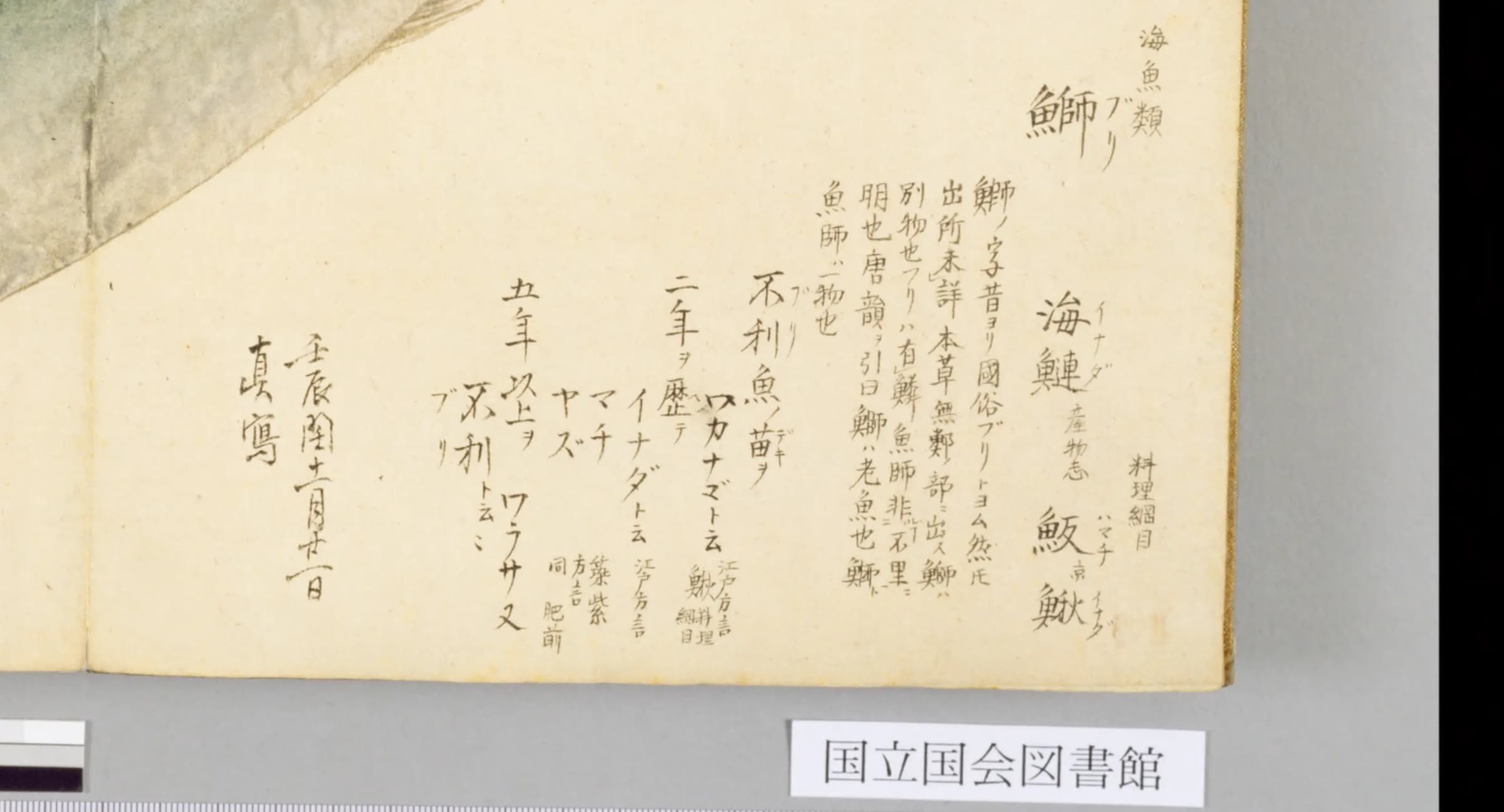 成長名の階梯と「真寫」の年記の拡大