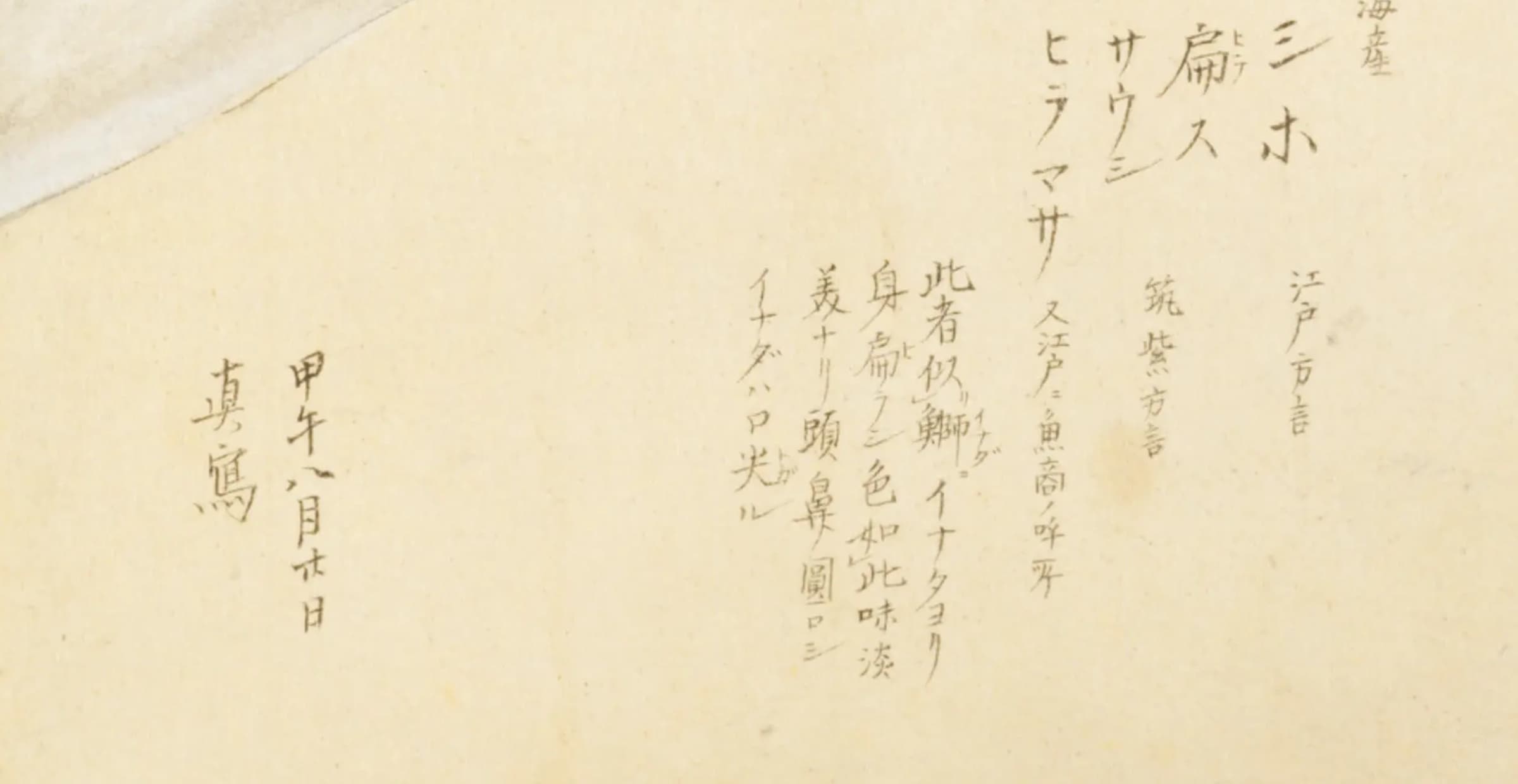 ブリとの見分けを記した本文の拡大