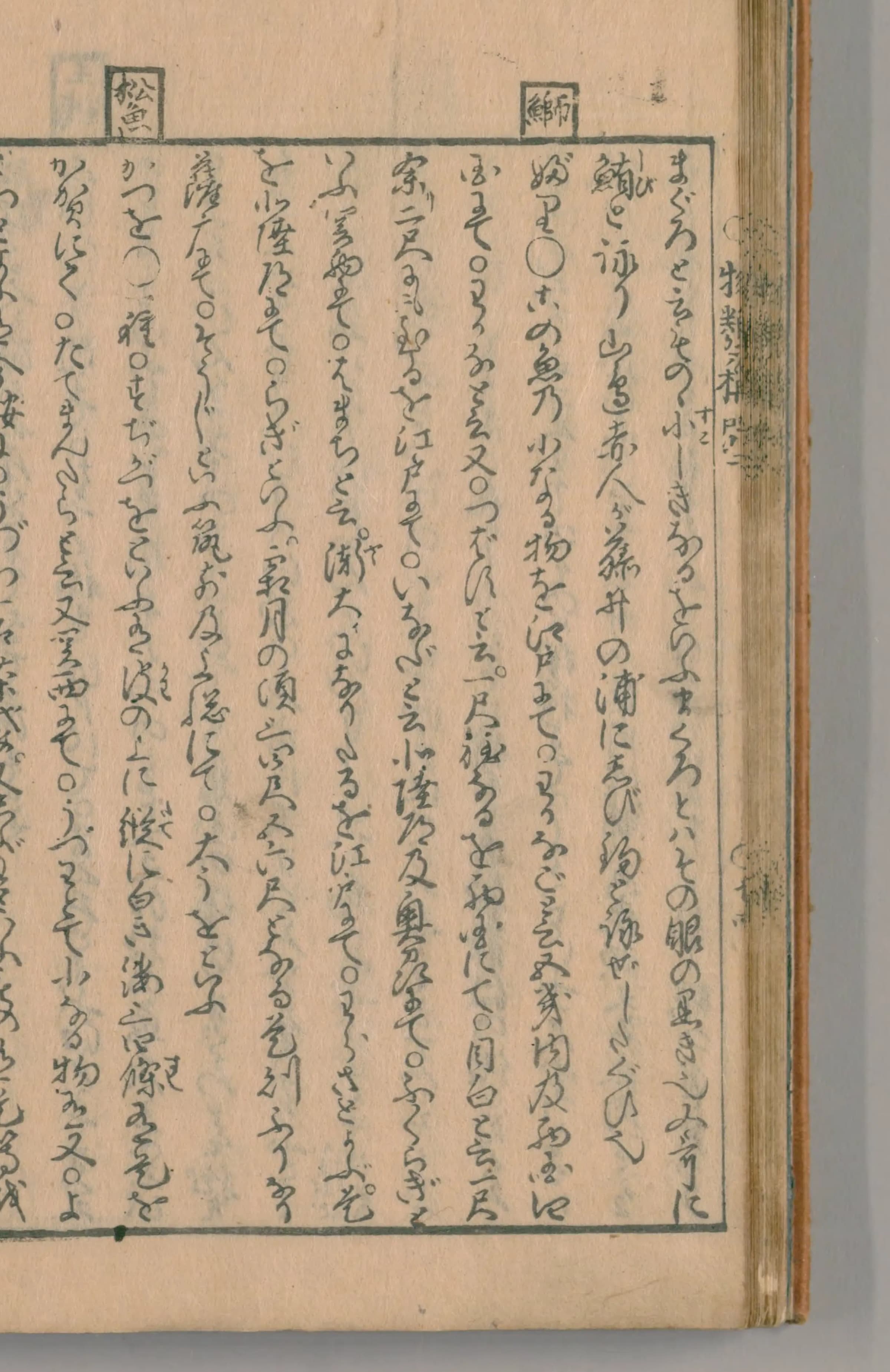成長名が列挙された本文の拡大
