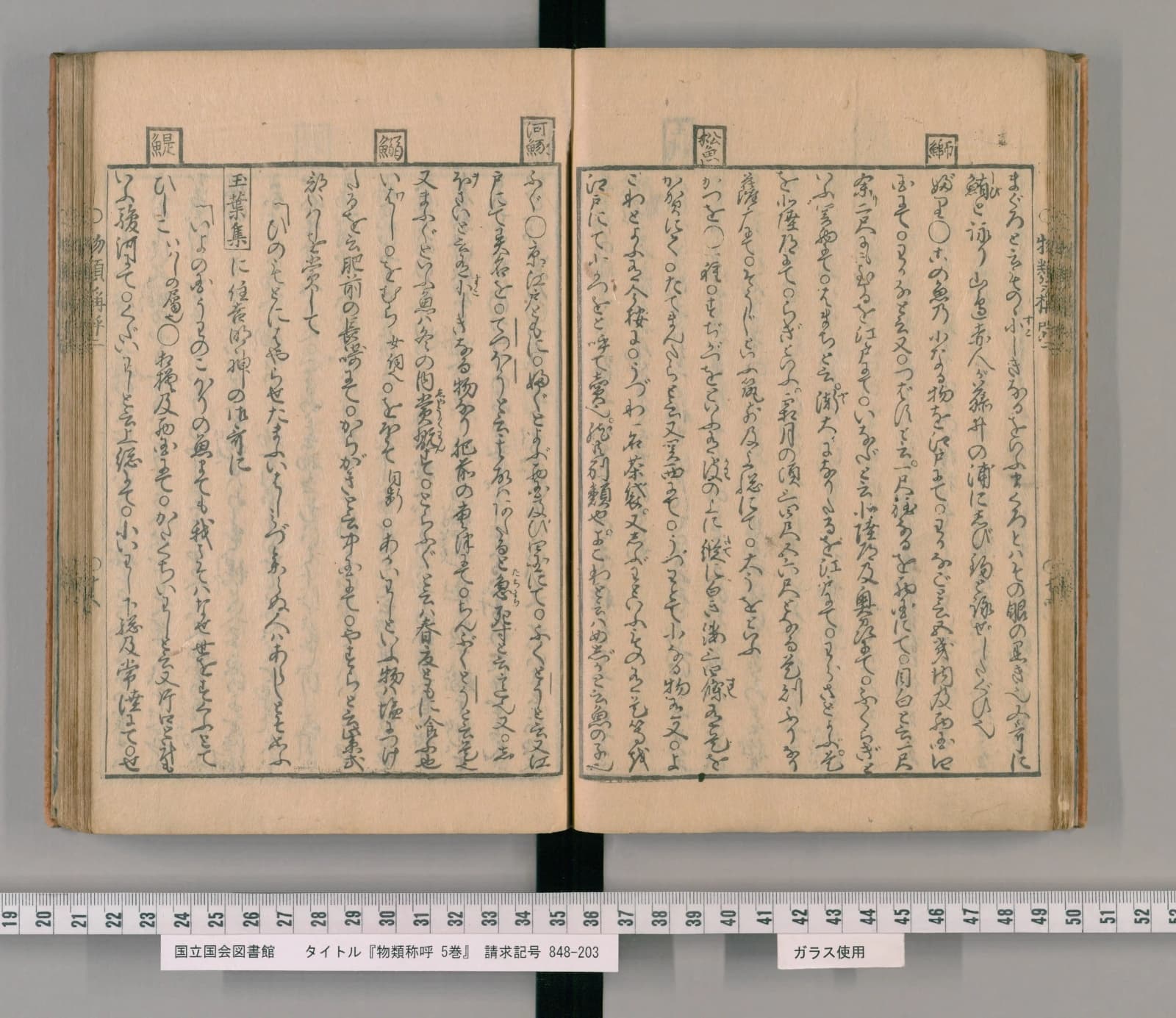 物類称呼 巻二 ブリの項の見開き