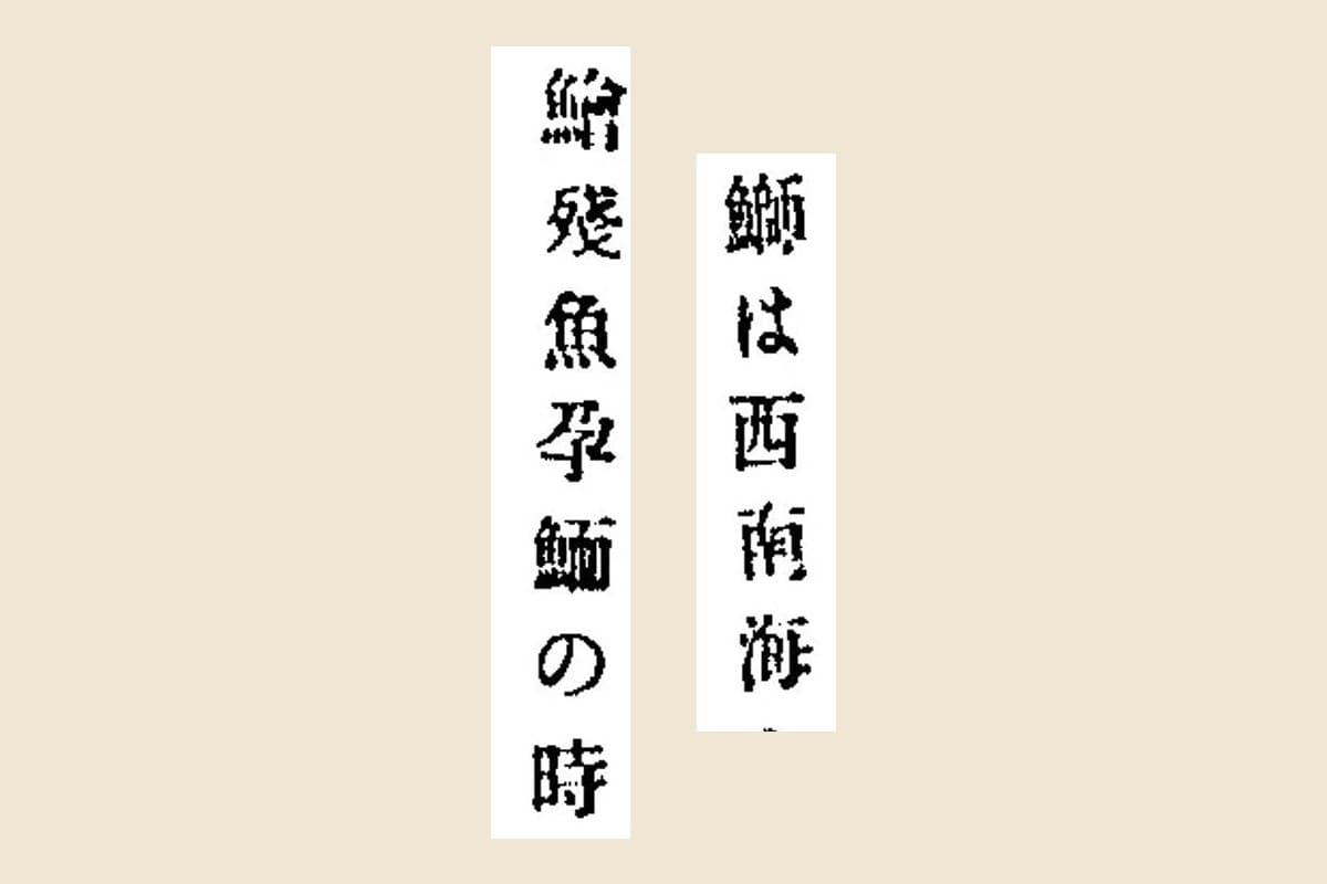 日本水産捕採誌「鰤は西南海」と「鱠殘魚孕鮞の時」の大写し