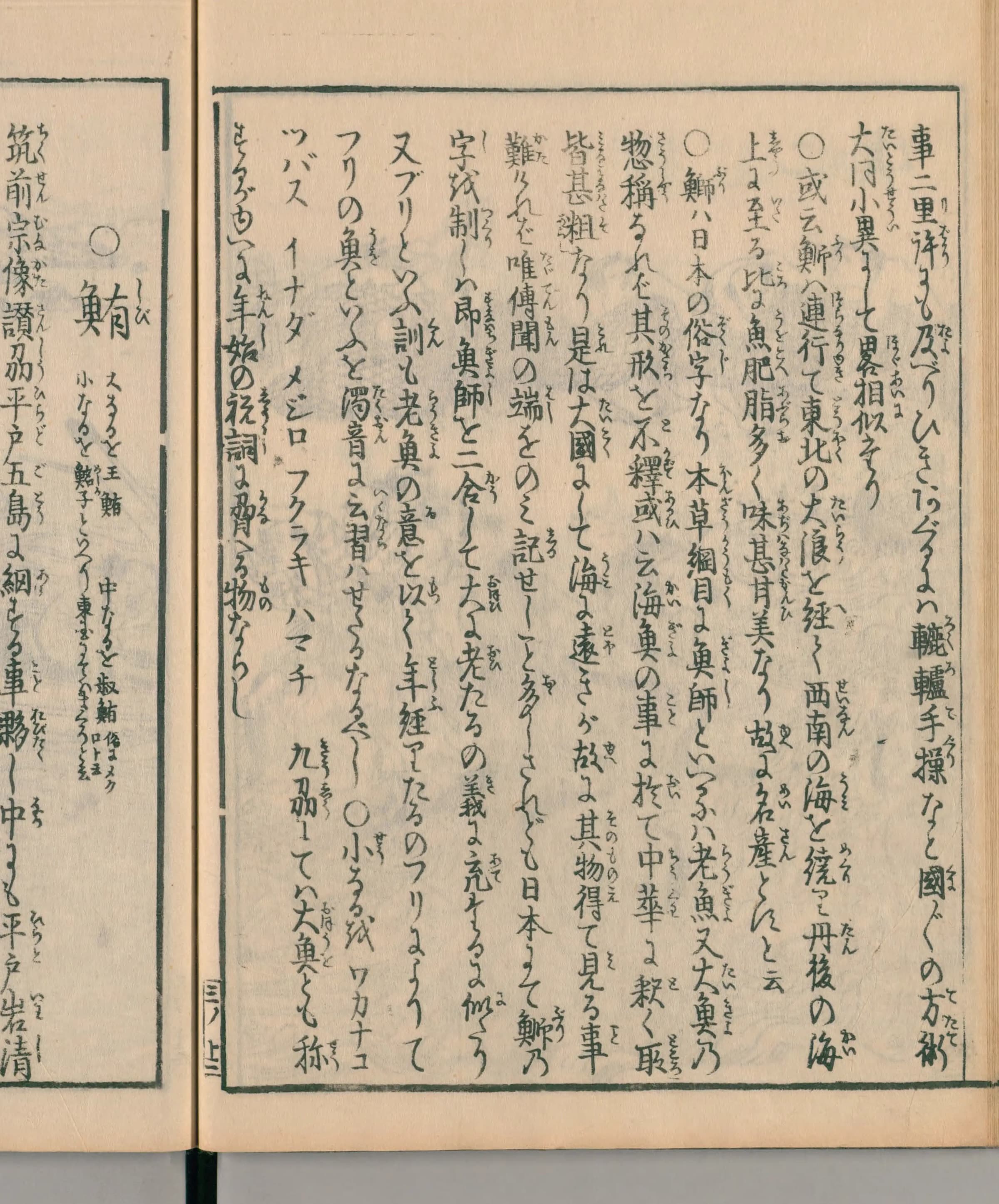 「鰤は日本の俗字なり」と成長名の拡大