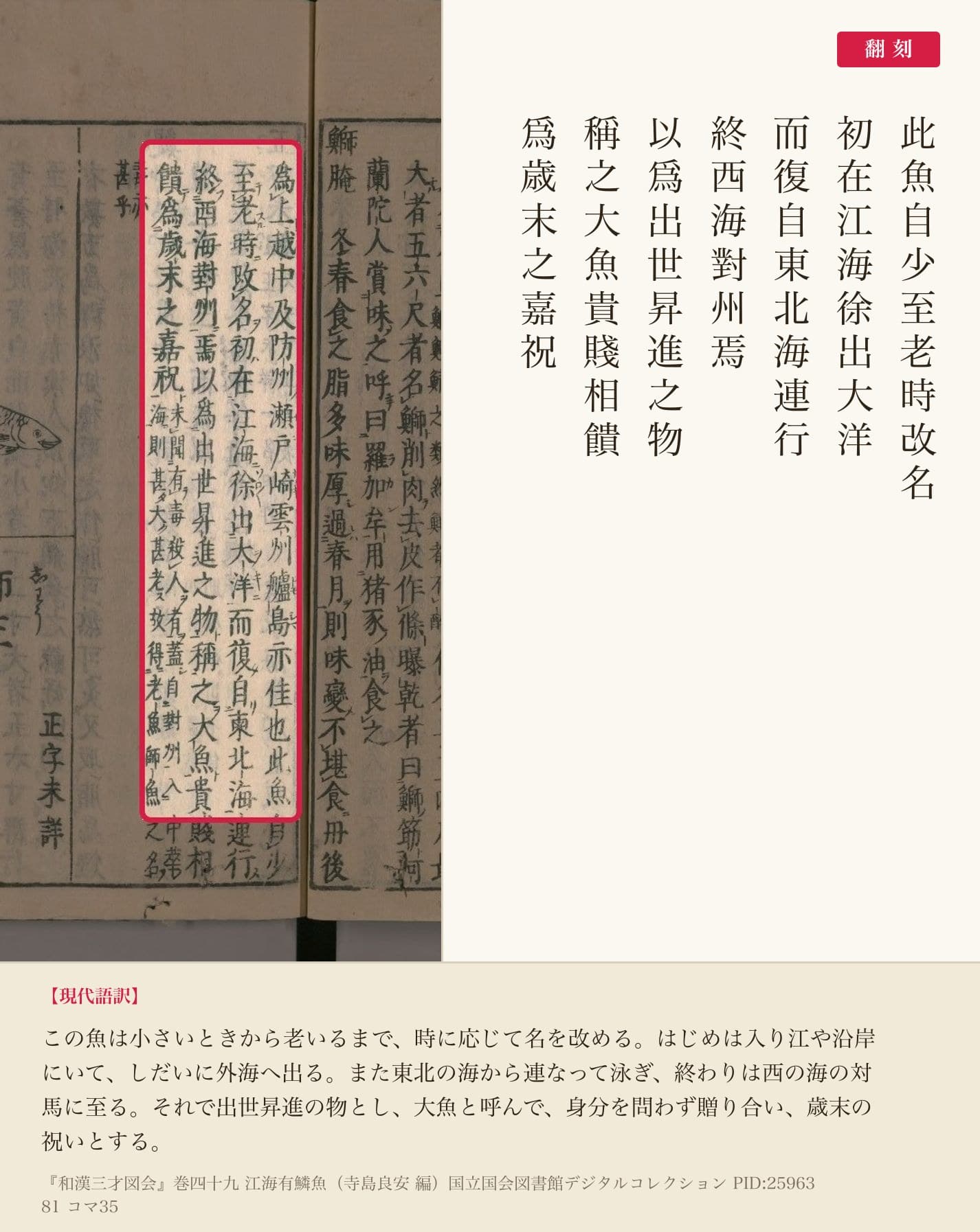 和漢三才図会「此魚自少至老時改名」から「爲歳末之嘉祝」までの赤枠注釈と翻刻