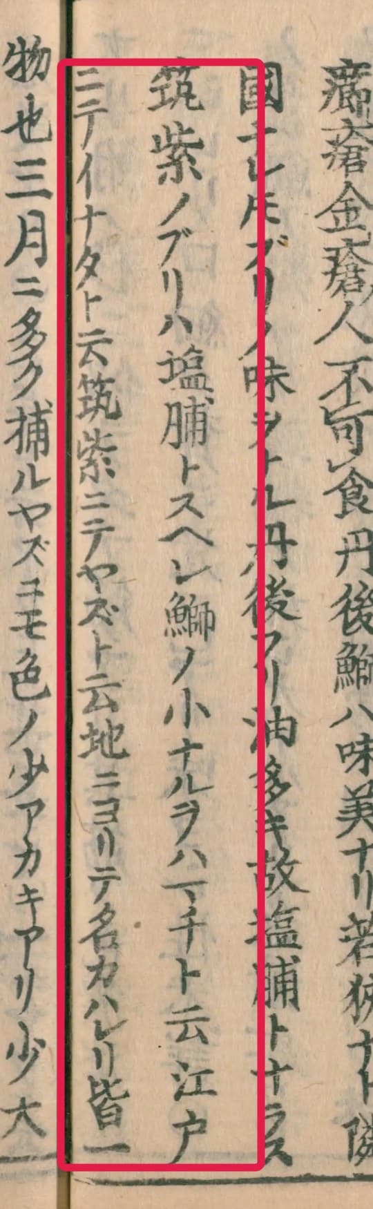 大和本草 成長名を記したくだりを拡大し赤枠で示した画像