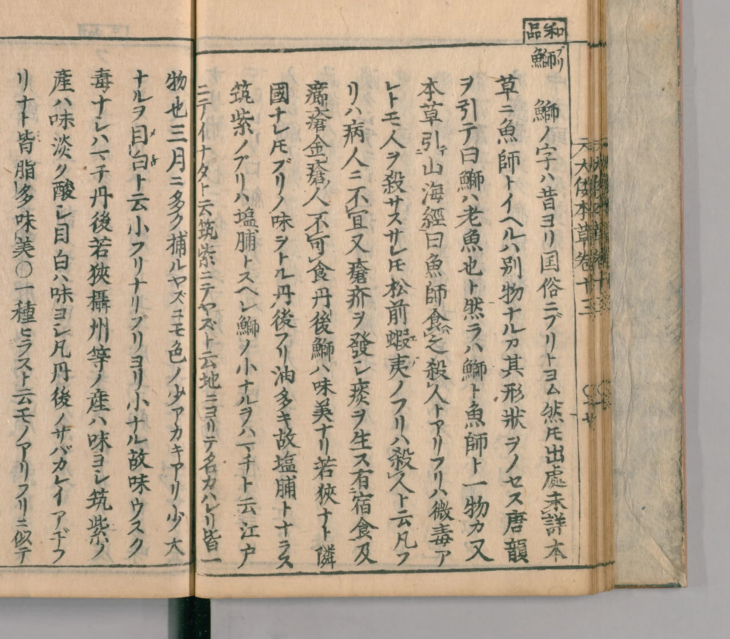 「鰤ノ字ハ昔ヨリ国俗ニブリトヨム」の拡大