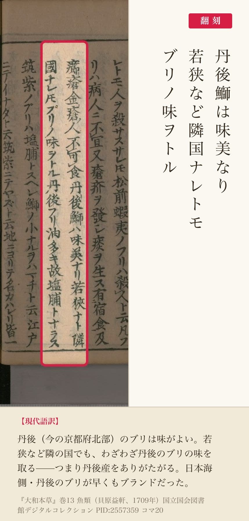 『大和本草』丹後の鰤の記述の赤枠注釈と翻刻（PID2557359 コマ20）