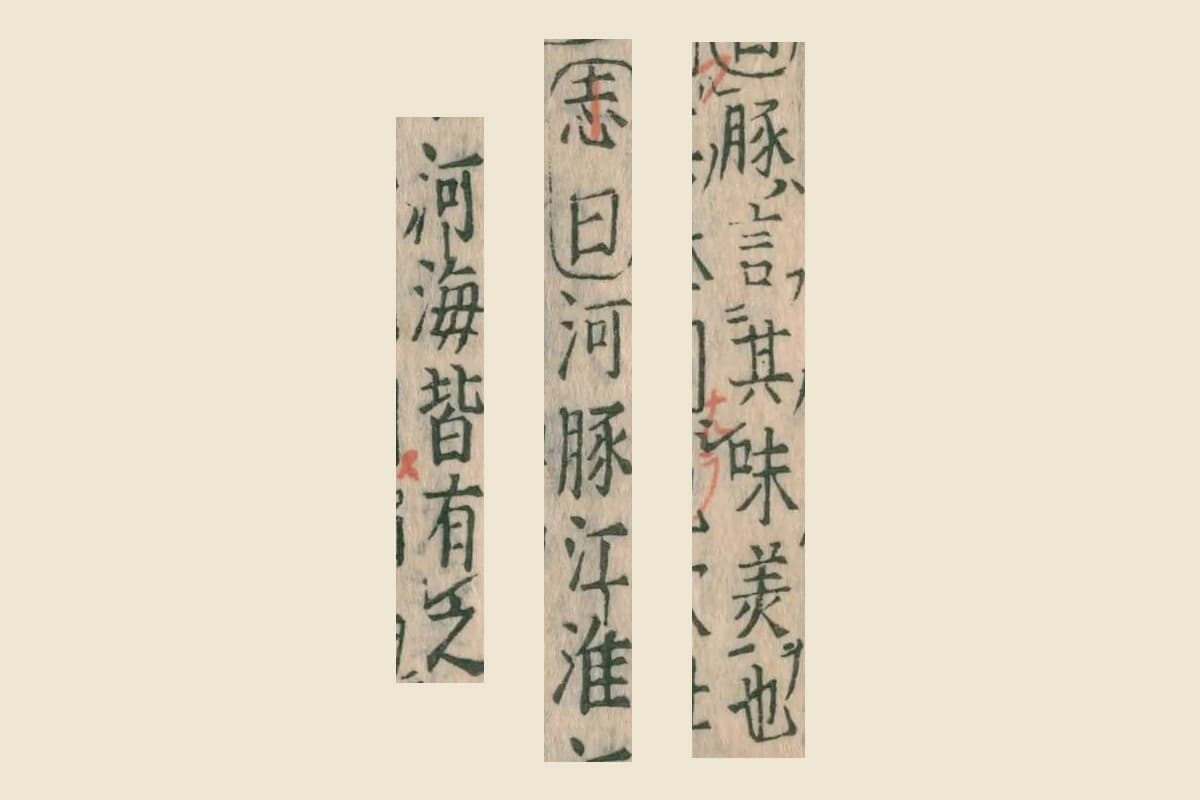 『本草綱目』コマ91の「豚言其味美也」と、集解の「志曰河豚江淮」「河海皆有之」の大写し