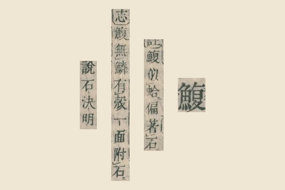 『康熙字典』コマ26の見出し「鰒」と、「註 鰒似蛤偏著石」「志 鰒無鱗有殼一面附石」「（一）說石決明」の大写し