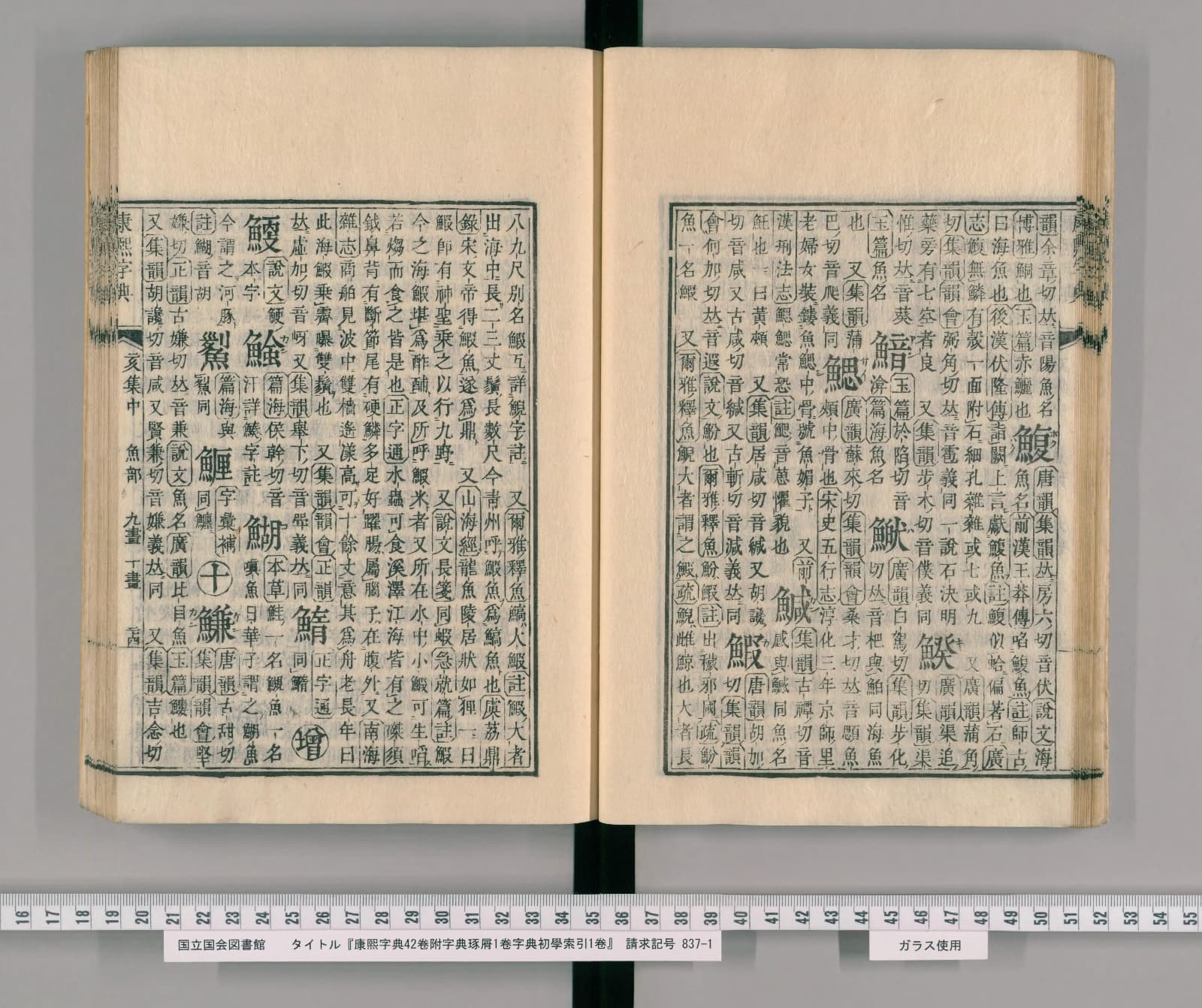 『康熙字典』魚部九画コマ26の見開き。右ページの右端の列に見出し「鰒」