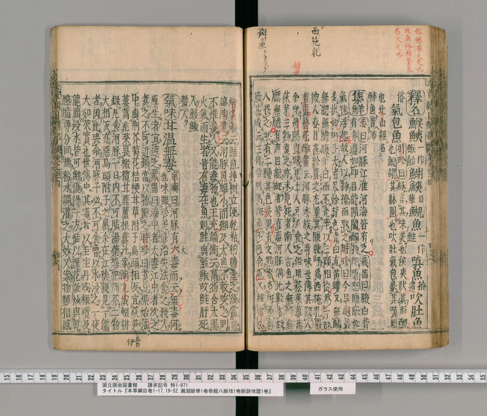 『本草綱目』巻四十四コマ91の見開き。右ページの右端に「釋名」の丸囲み、その下に鯸鮧・鯢魚・嗔魚・吹肚魚などの別名
