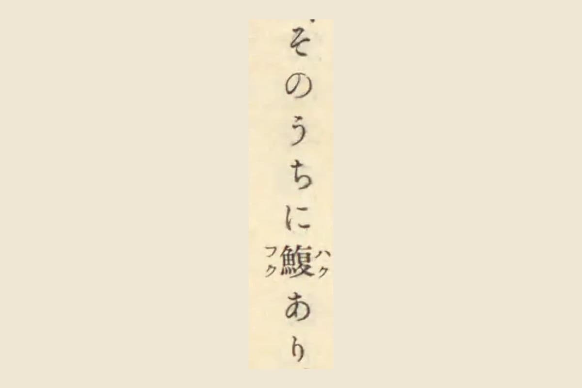 『古事類苑』に引かれた『燕石雑志』巻三の「そのうちに鰒あり」の部分