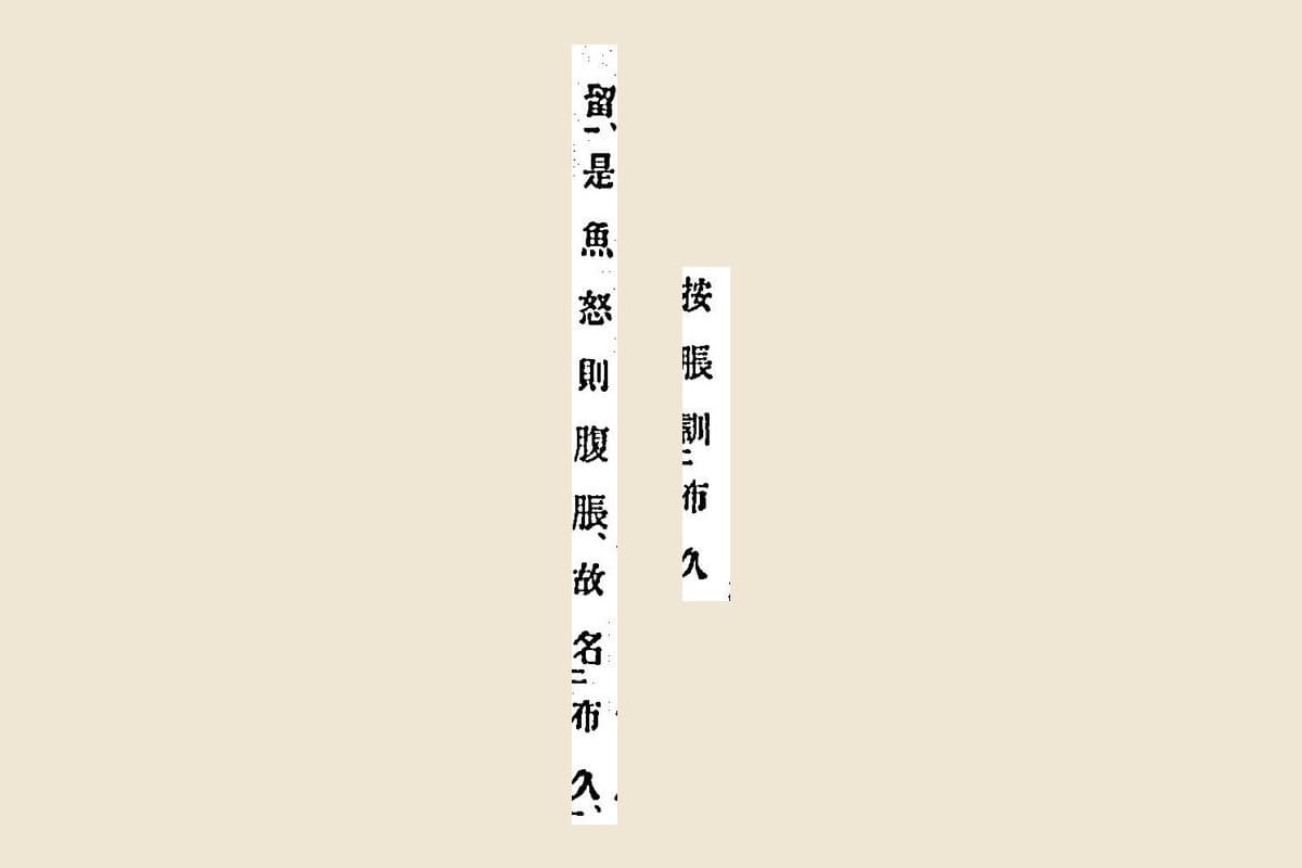 『箋注倭名類聚抄』巻八の注から「按脹訓布久」と「留是魚怒則腹脹故名布久」を切り出したもの