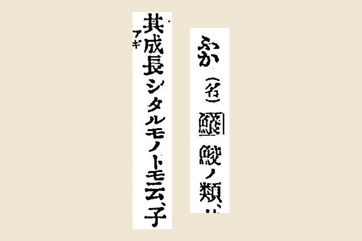 『言海』コマ519の見出し「ふか（名）」と枠で囲んだ「鱶」、説明「鮫ノ類、其成長シタルモノトモ云」の大写し
