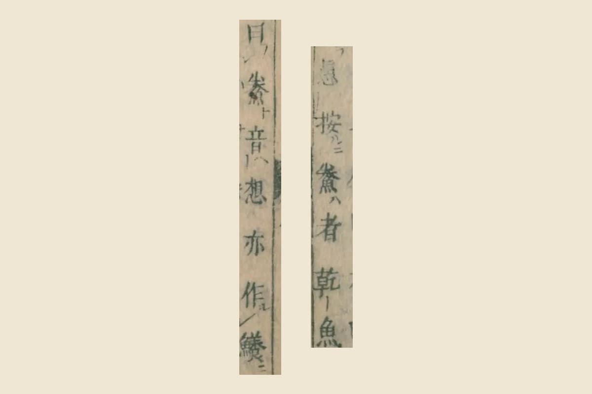 『本朝食鑑』コマ12の「愚按鯗者乾魚」と、コマ13の「曰鯗音想亦作鱶」の大写し