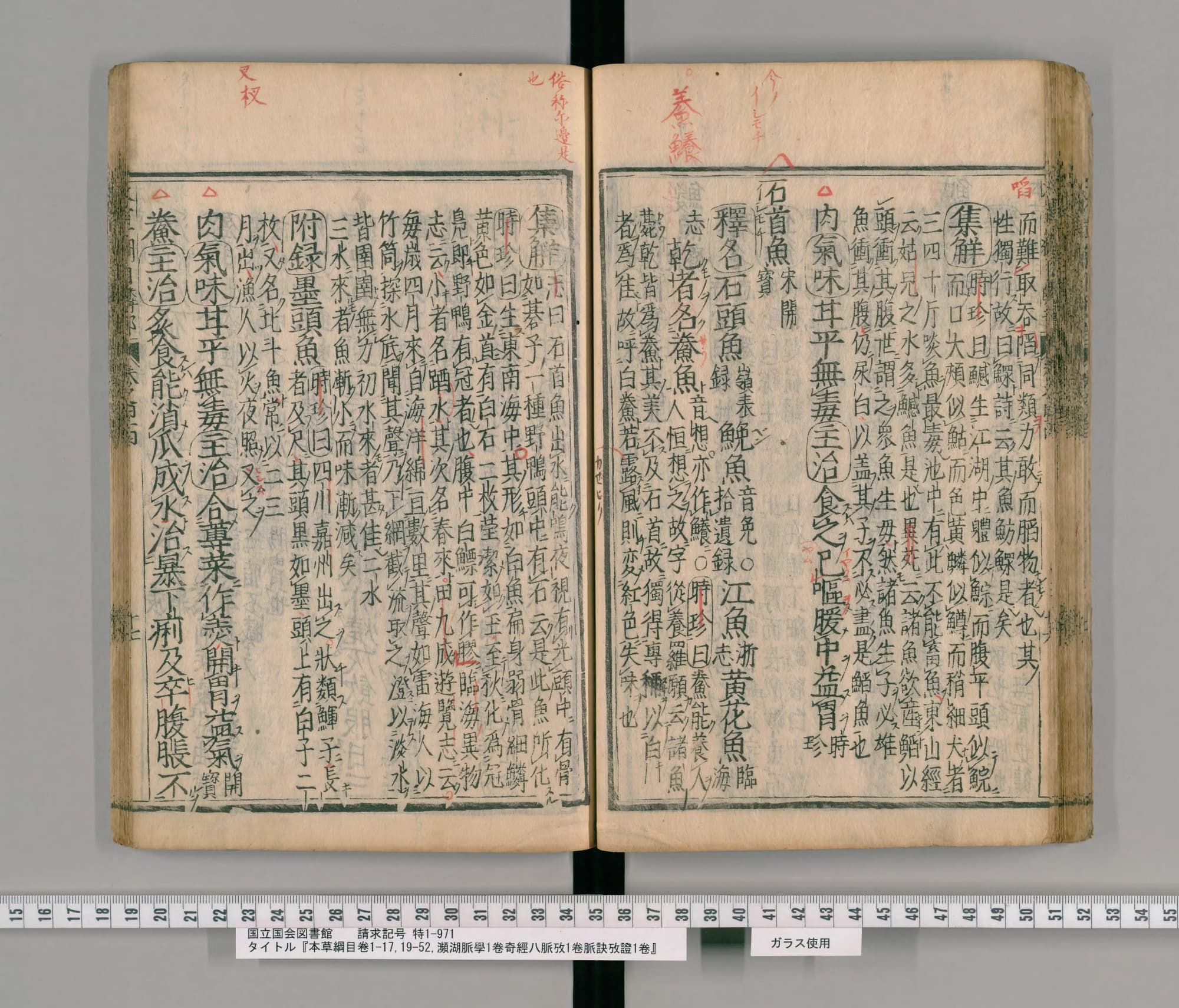 『本草綱目』巻四十四コマ64の見開き。右ページに見出し「石首魚」。その上の余白に朱の書き入れ