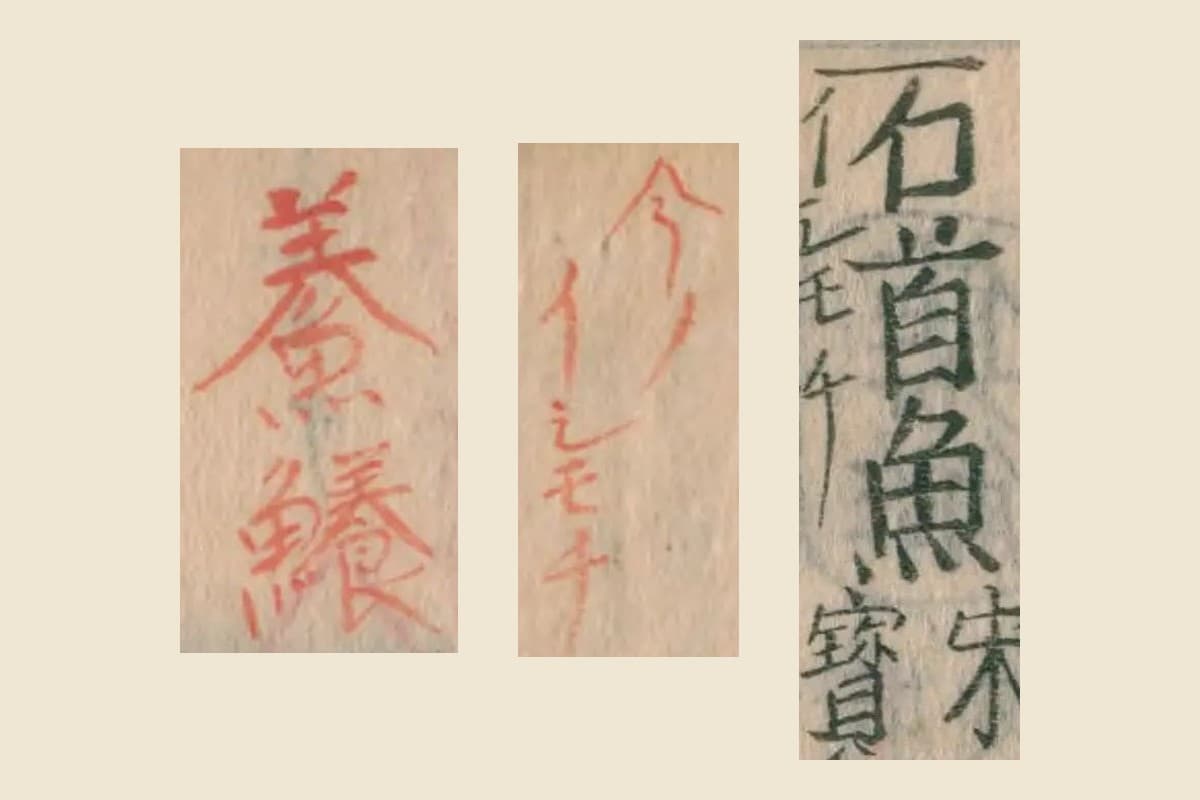 『本草綱目』コマ64の見出し「石首魚」と、朱の書き入れ「今ノイシモチ」「鯗 鱶」の大写し