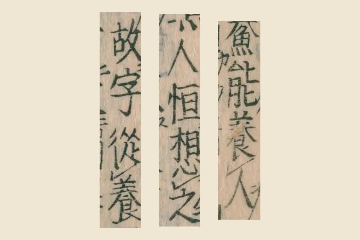 『本草綱目』コマ64の「鯗能養人」「人恒想之」「故字從養」の大写し