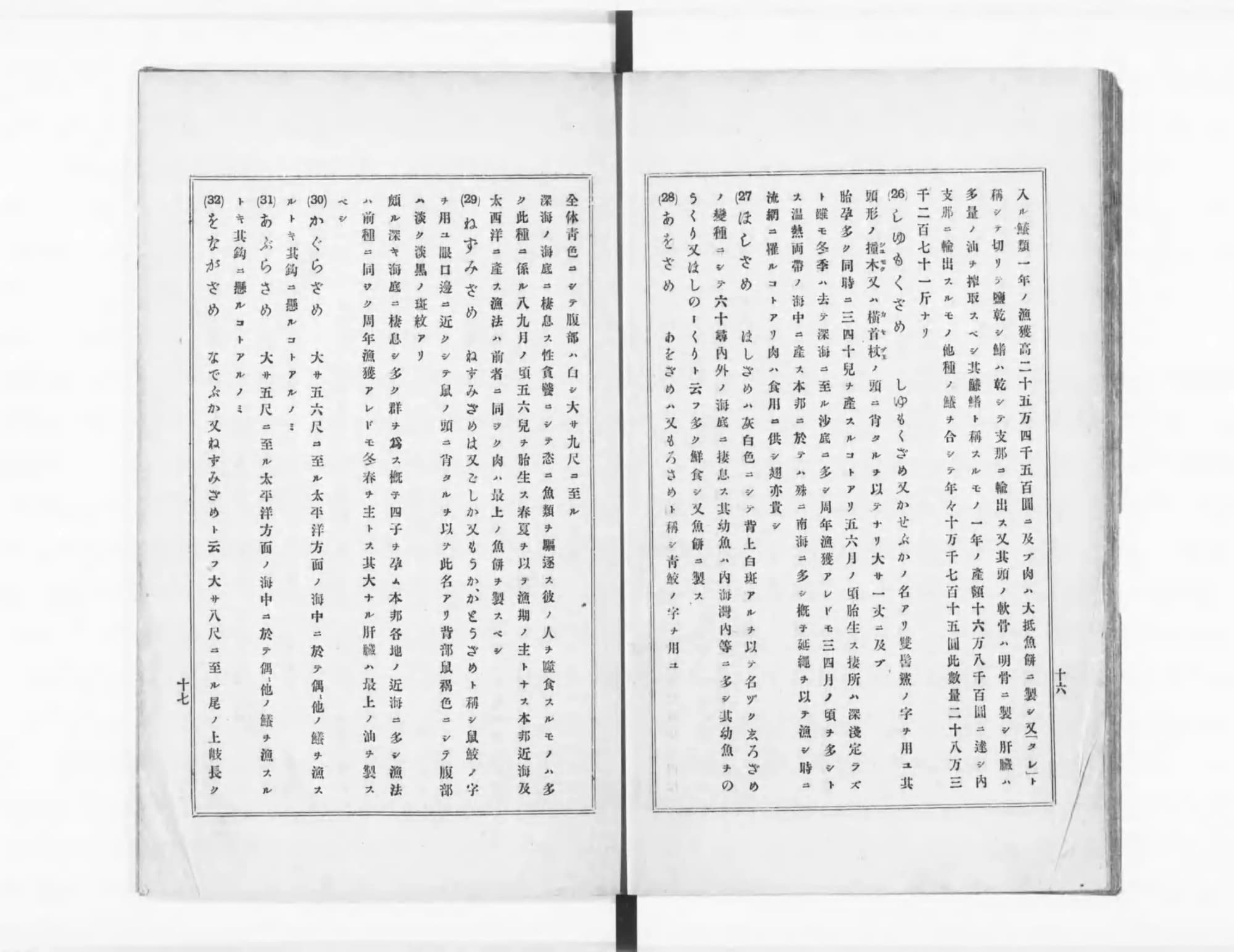 『日本重要水産動物図』解説コマ12の見開き。サメの仲間の説明が番号つきで並ぶ活字のページ