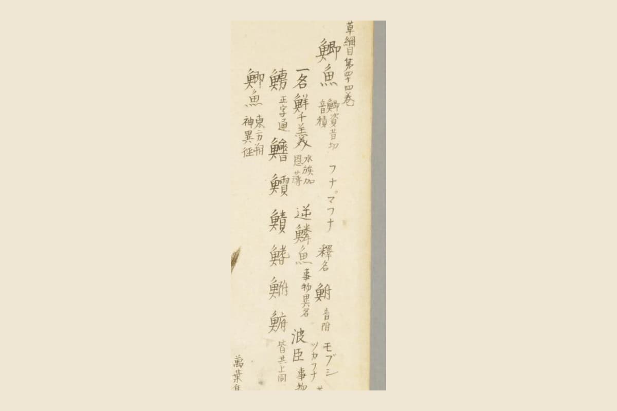 『梅園魚品図正』の金鮒・黒鮒の図の右上の書き入れ「本草綱目第四十四巻　鯽魚　フナ　マフナ」と、異体字の列の大写し
