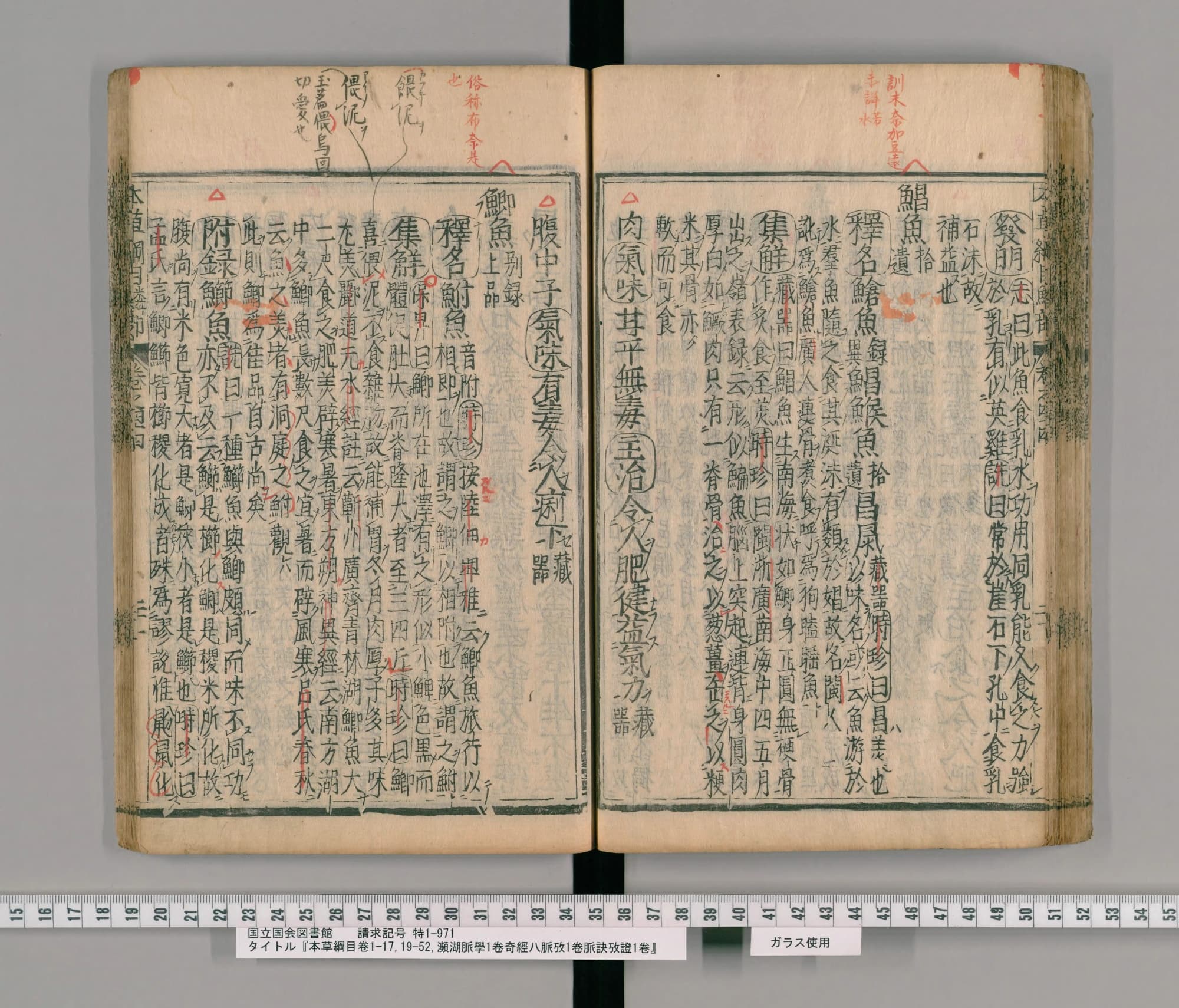 『本草綱目』承応2年刊本 巻四十四コマ68の見開き。左ページに見出し「鯽魚」、上の余白に朱の書き入れ