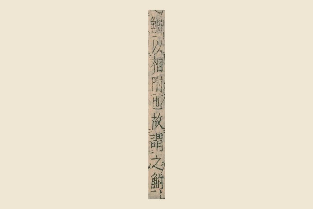 『本草綱目』コマ68の「鯽以相附也故謂之鮒」の大写し