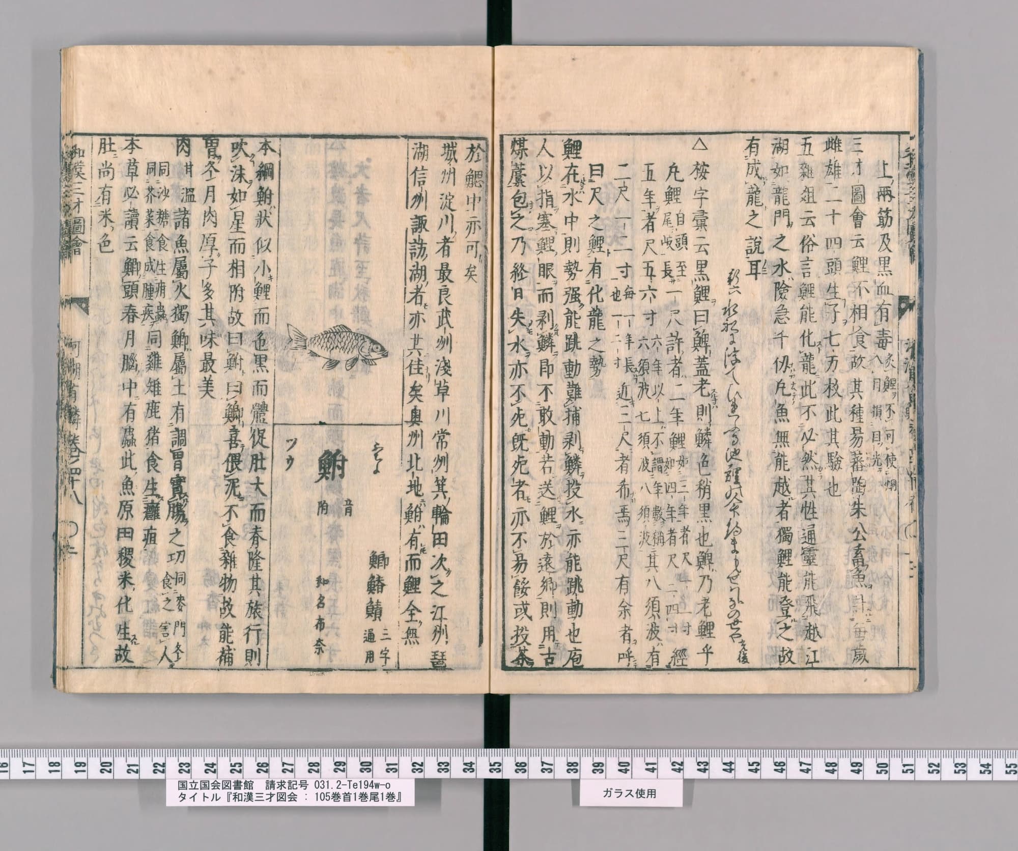 『和漢三才図会』巻四十八コマ6の見開き。左ページ上にフナの絵、その下に見出し「鮒」
