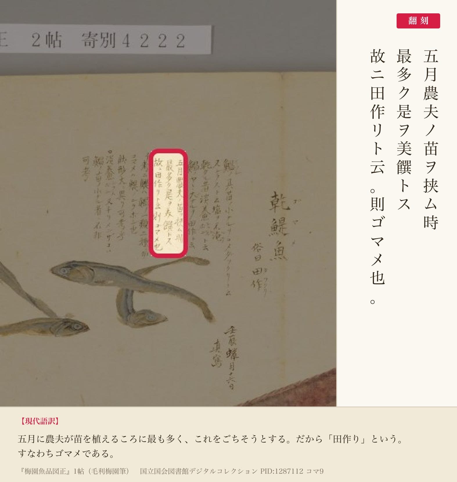 『梅園魚品図正』コマ9の「五月農夫ノ苗ヲ挟ム時」から「故ニ田作リト云則ゴマメ也」までの書き入れと翻刻