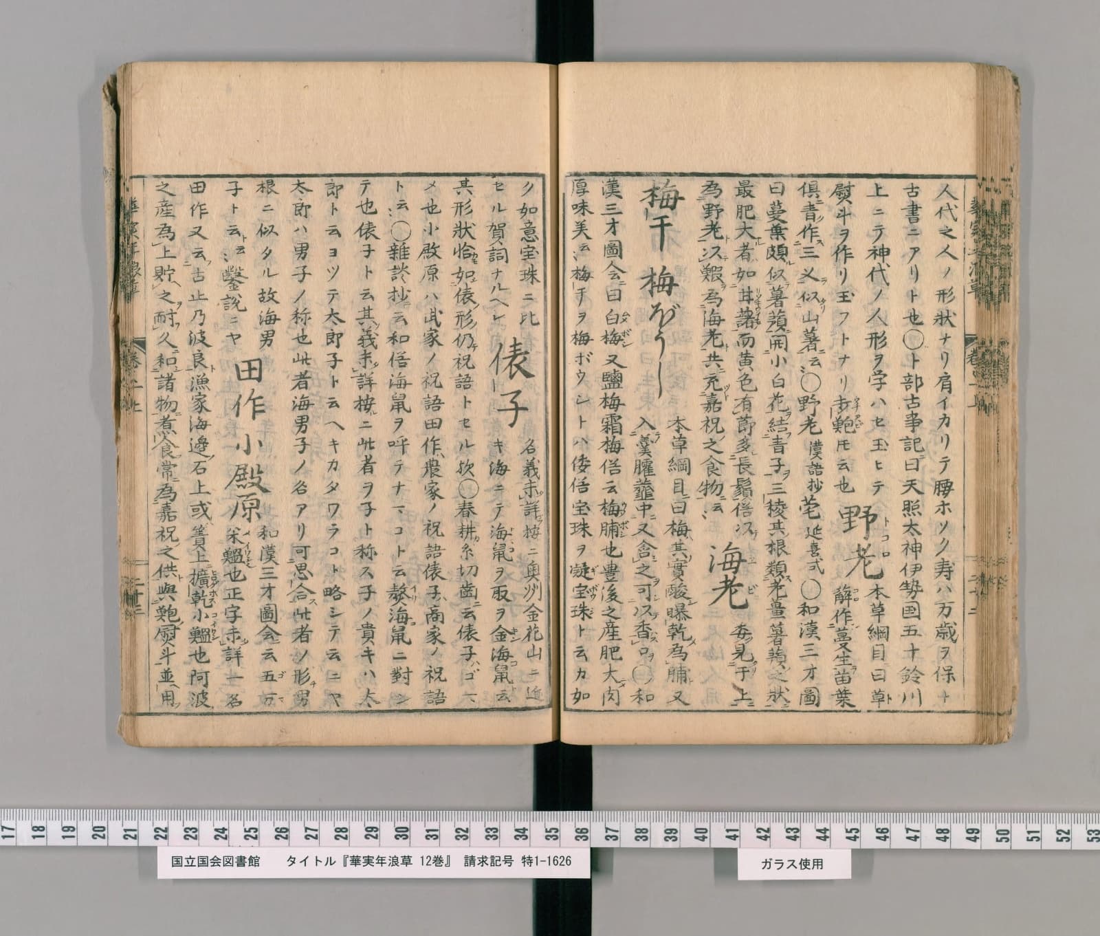 『華実年浪草』巻一コマ42の見開き。正月の祝い物として「海老」「梅干」「俵子」「田作 小殿原」の見出しが並ぶ